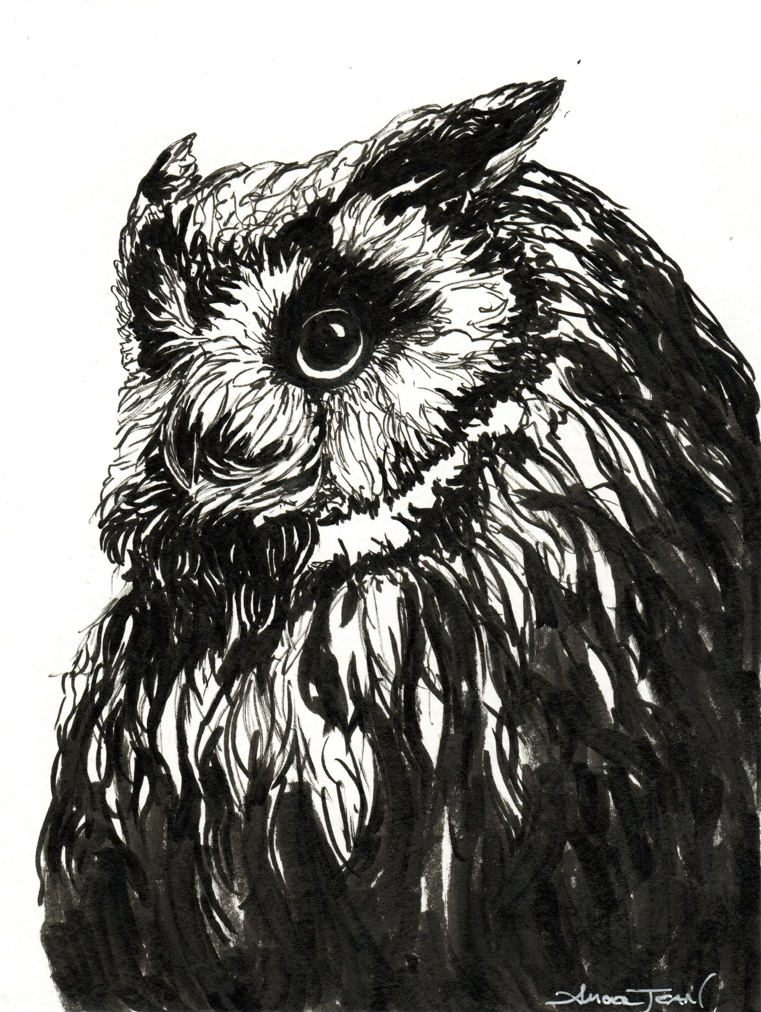 INKtober_2026_07_owl2_web.jpg
