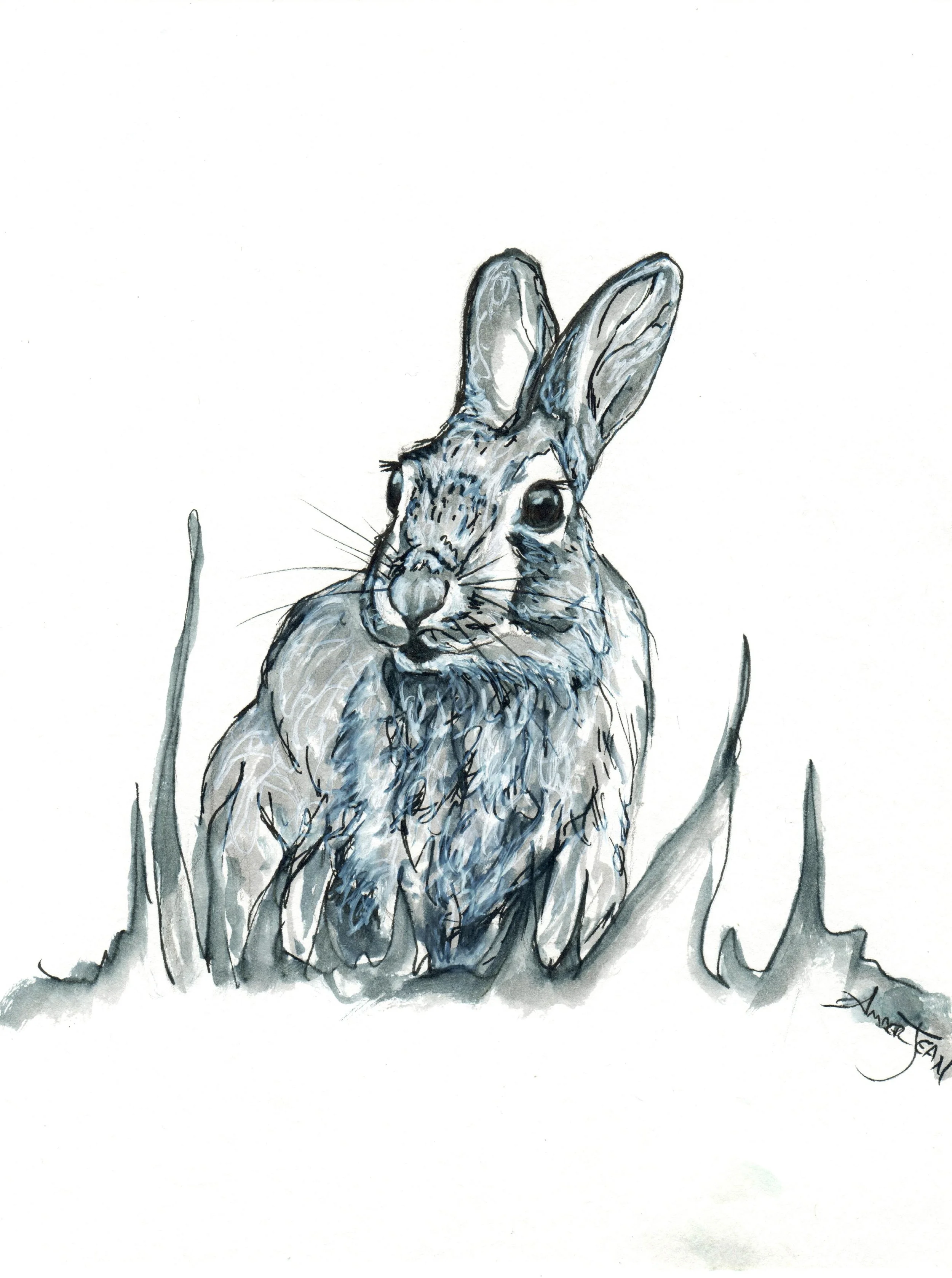 INKtober_2026_26_Rabbit_web.jpg