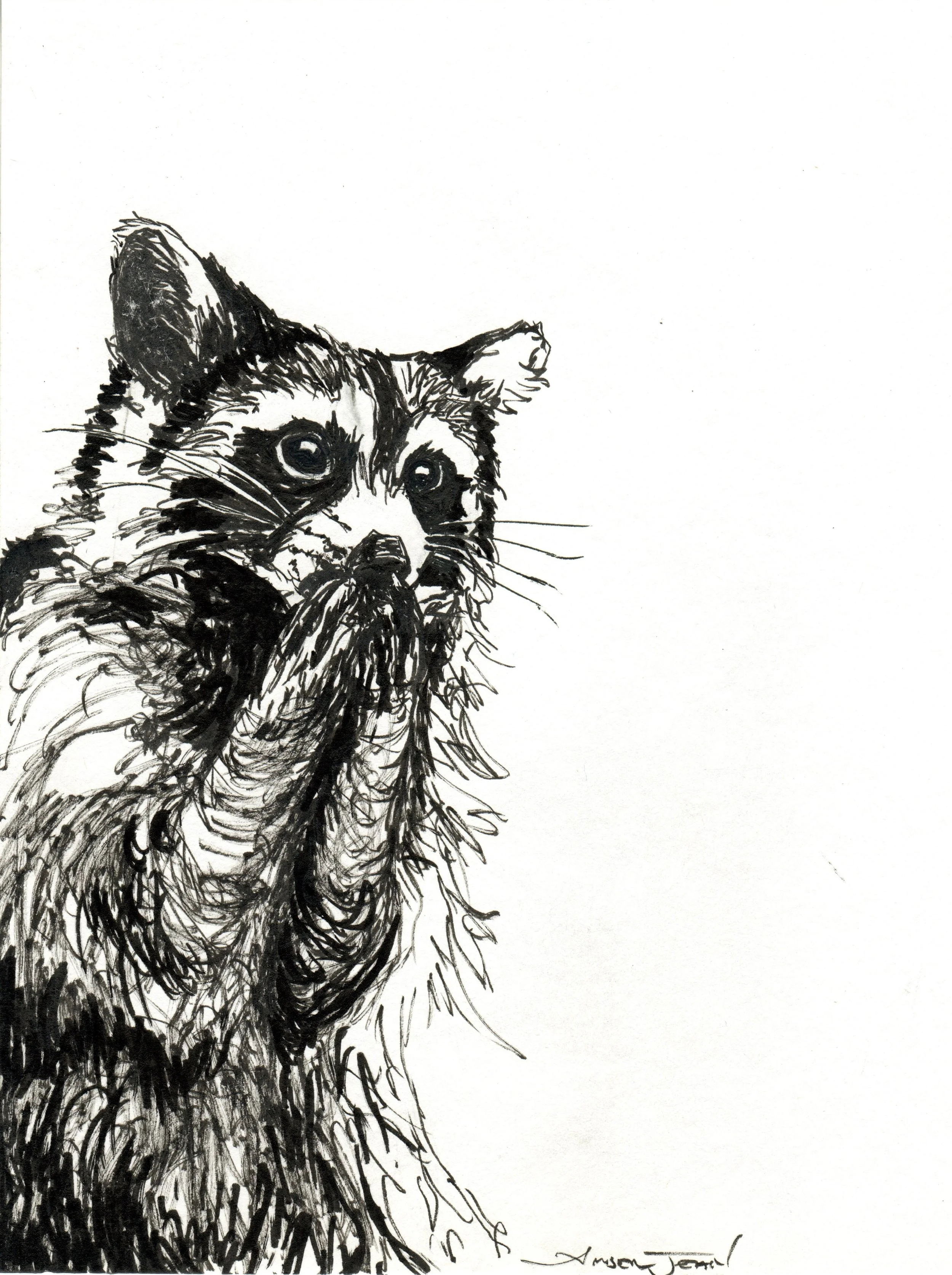 INKtober_2026_06_Owl2_web.jpg
