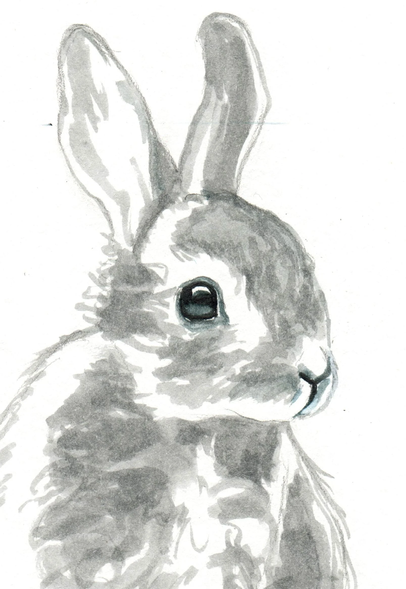 INKtober_2026_18_Bunny_web_detail.jpg