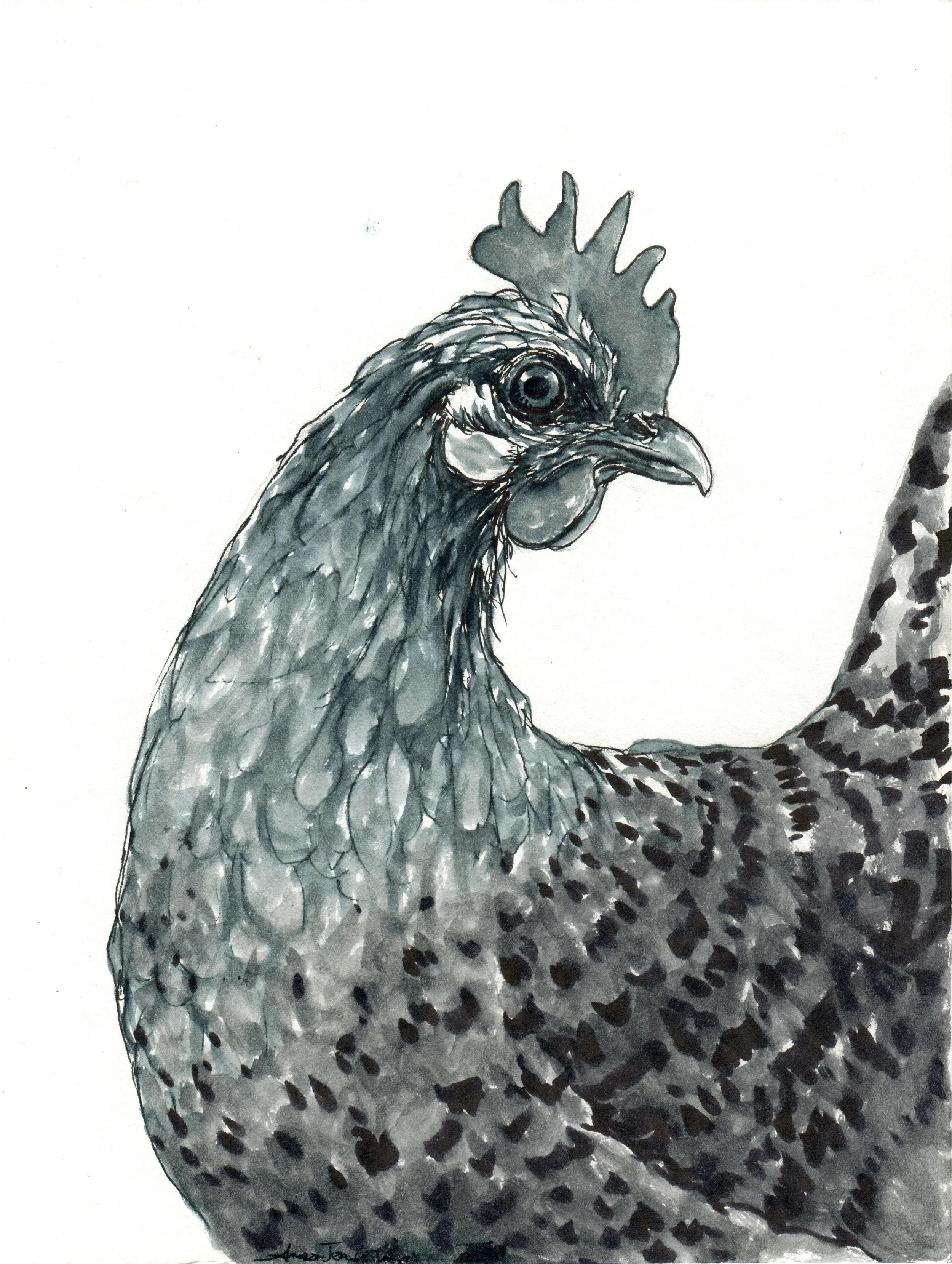 INKtober_2026_19_chicken_web.jpg
