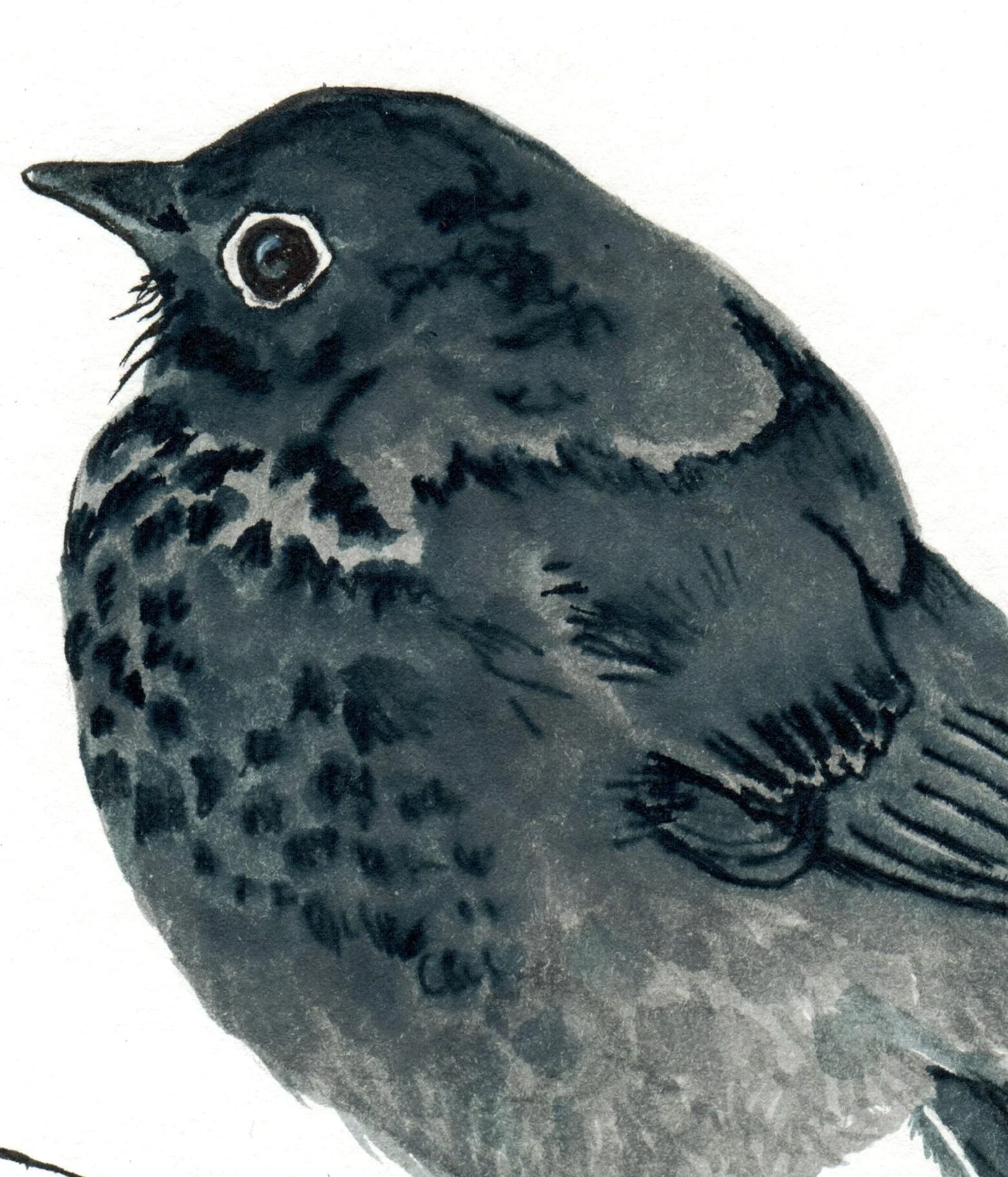 INKtober_2026_13_FluffyBird_web_detail.jpg