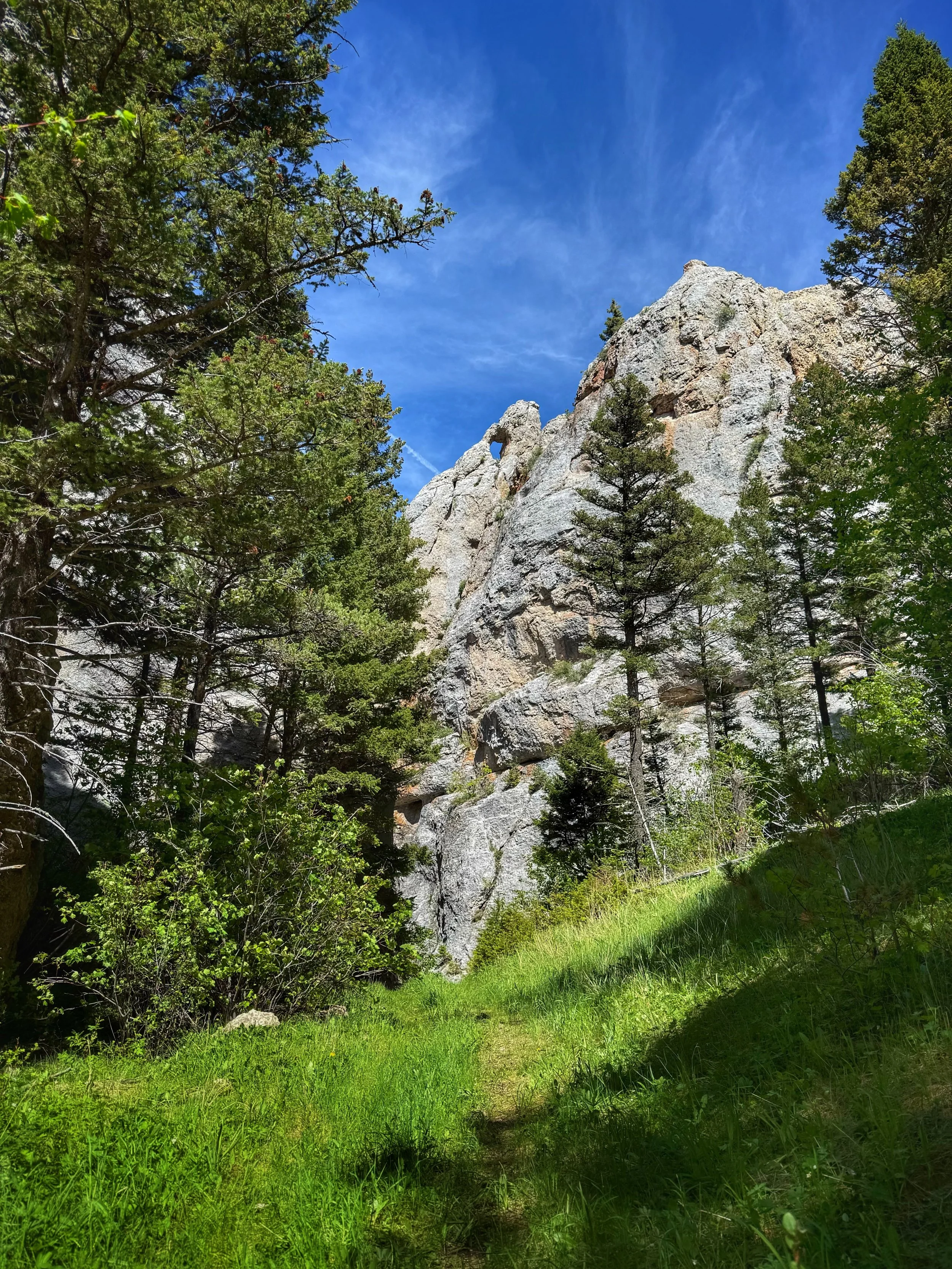 Natural limestone arch and towering rock formations at a Montana climbing area surrounded by forest.