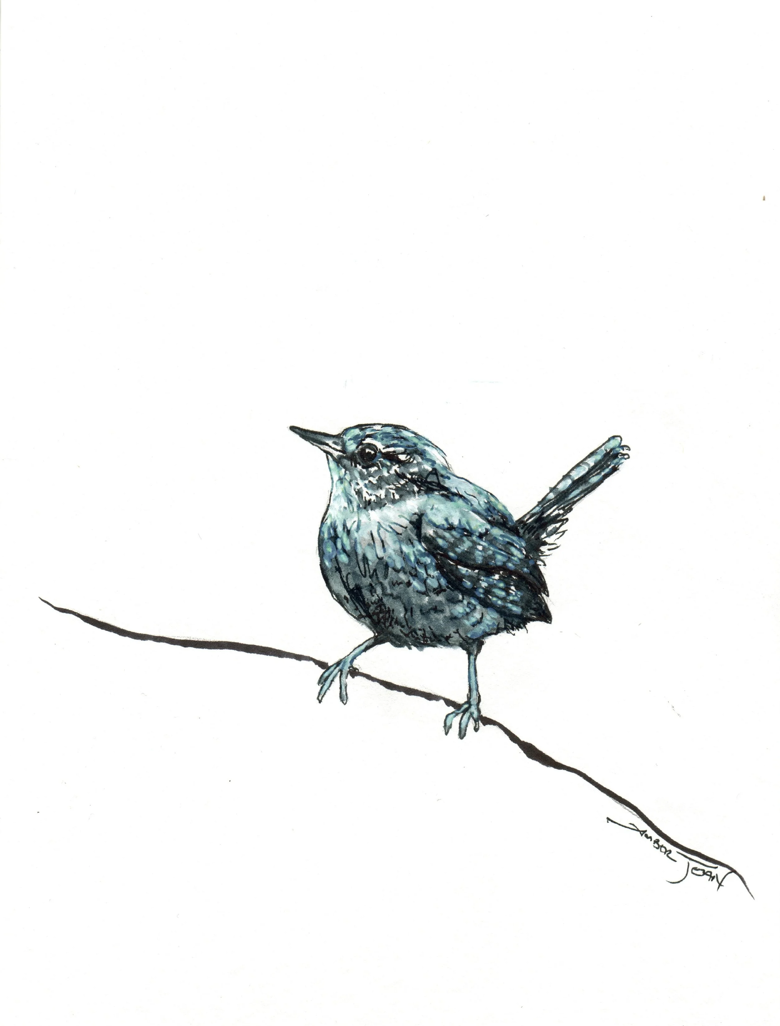INKtober_2026_22_wren_web.jpg