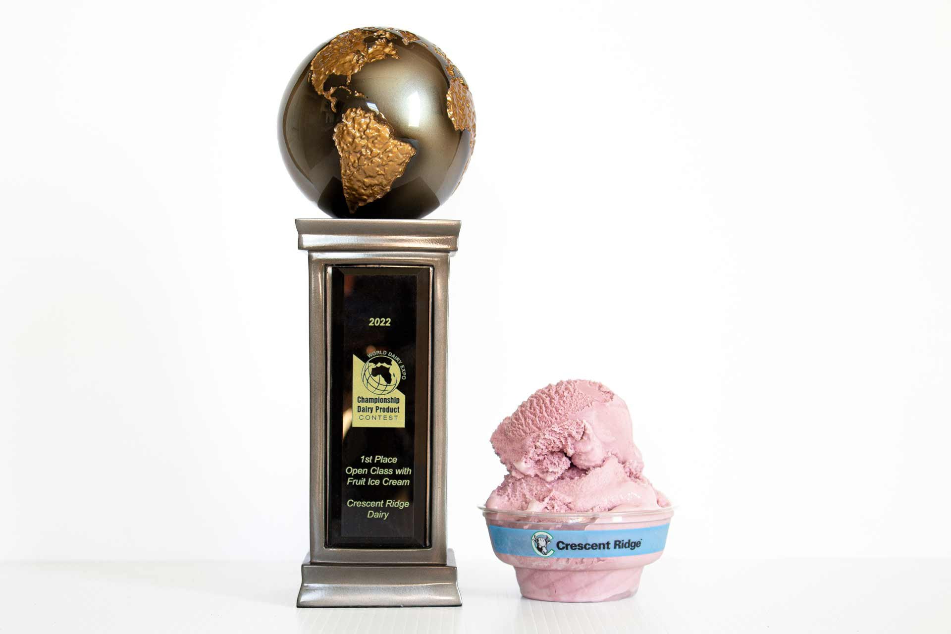 1st Place: Black Raspberry Ice Cream
