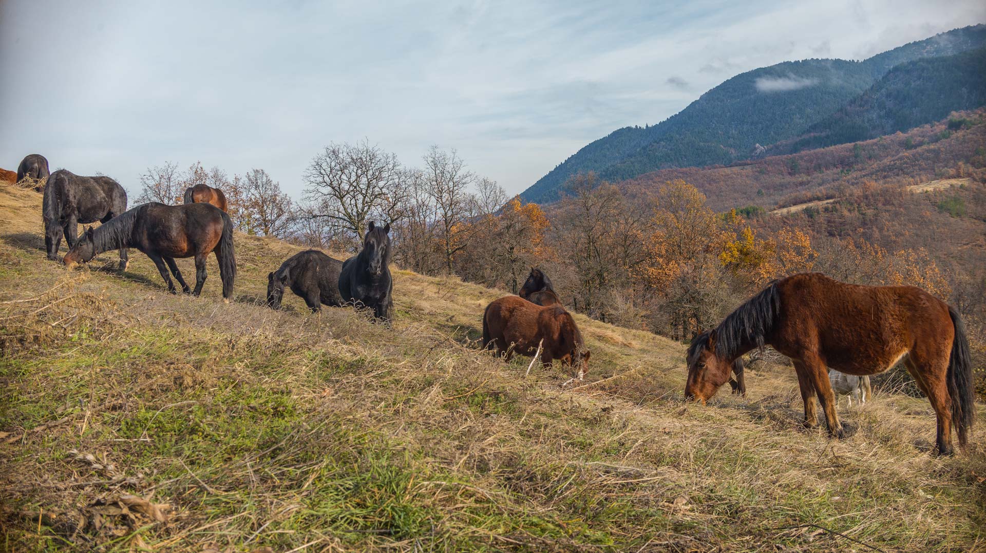 Nature photographers in Greece