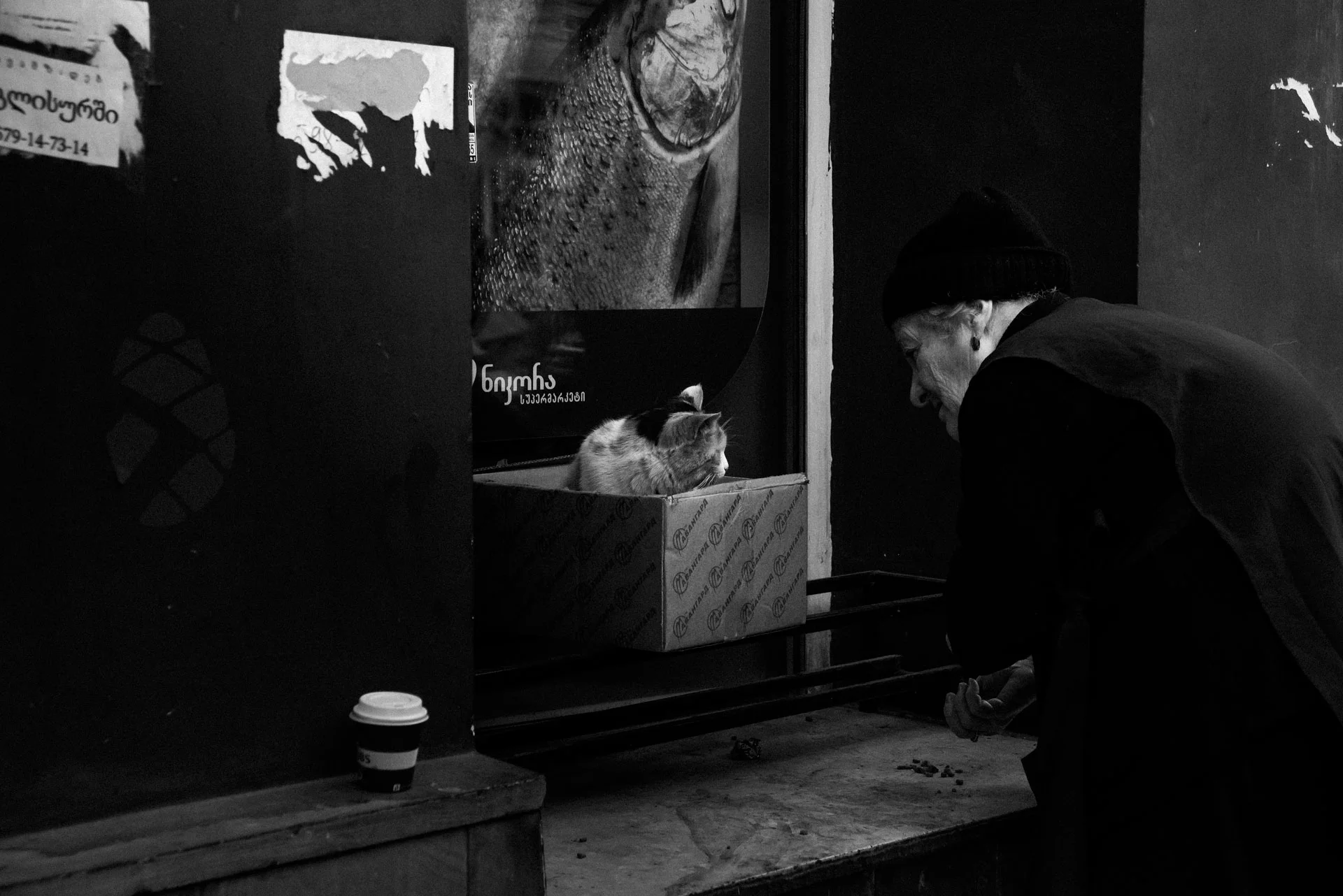 tbilisi-georgia-cat-woman-black-and-white-photography.jpg