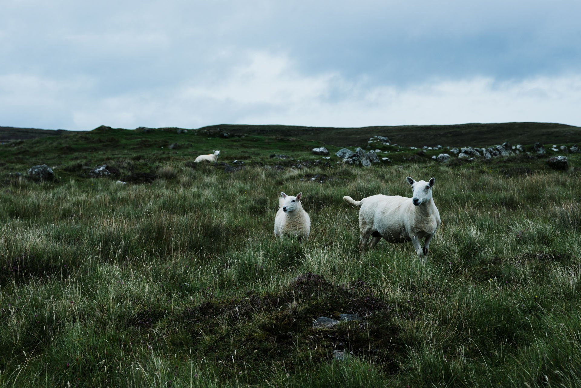 Travel-Photography-Scotland.jpg