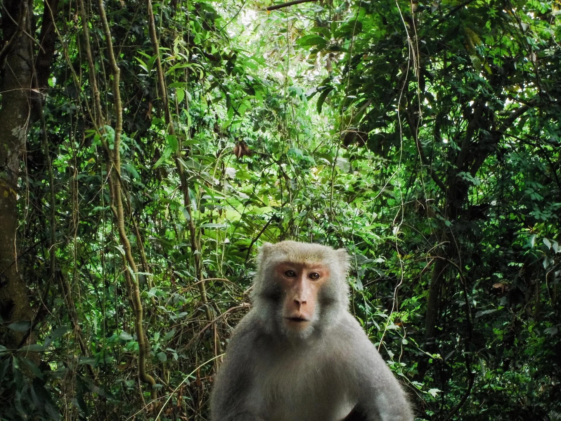 Odysseas_Chloridis_Taiwan_Huan_Dao (30 of 47).jpg
