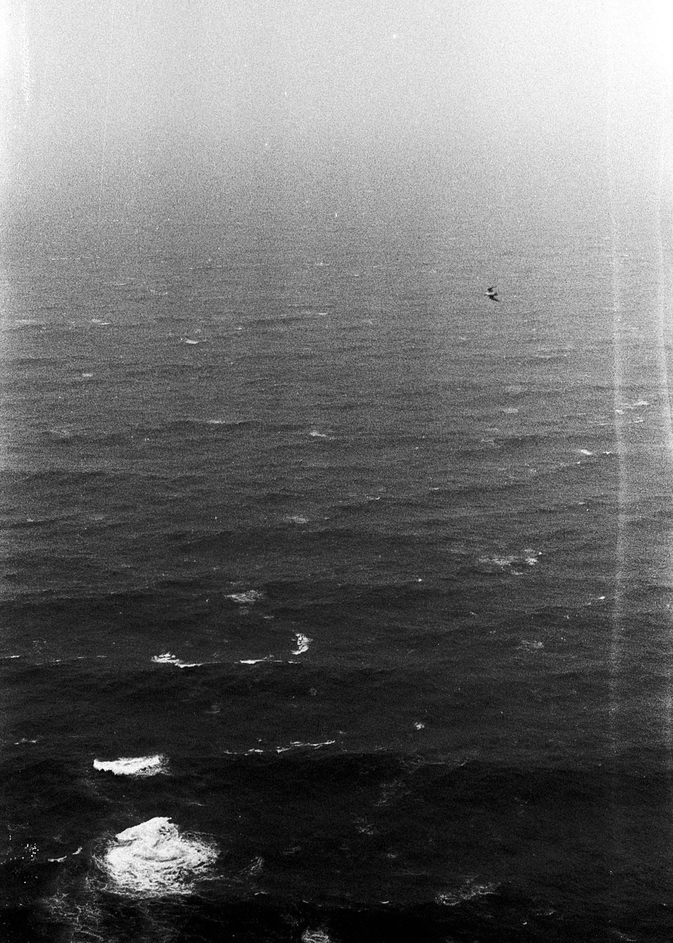 Black and white photograph of the open ocean in Iceland with a small bird in the distance and waves on the water surface.