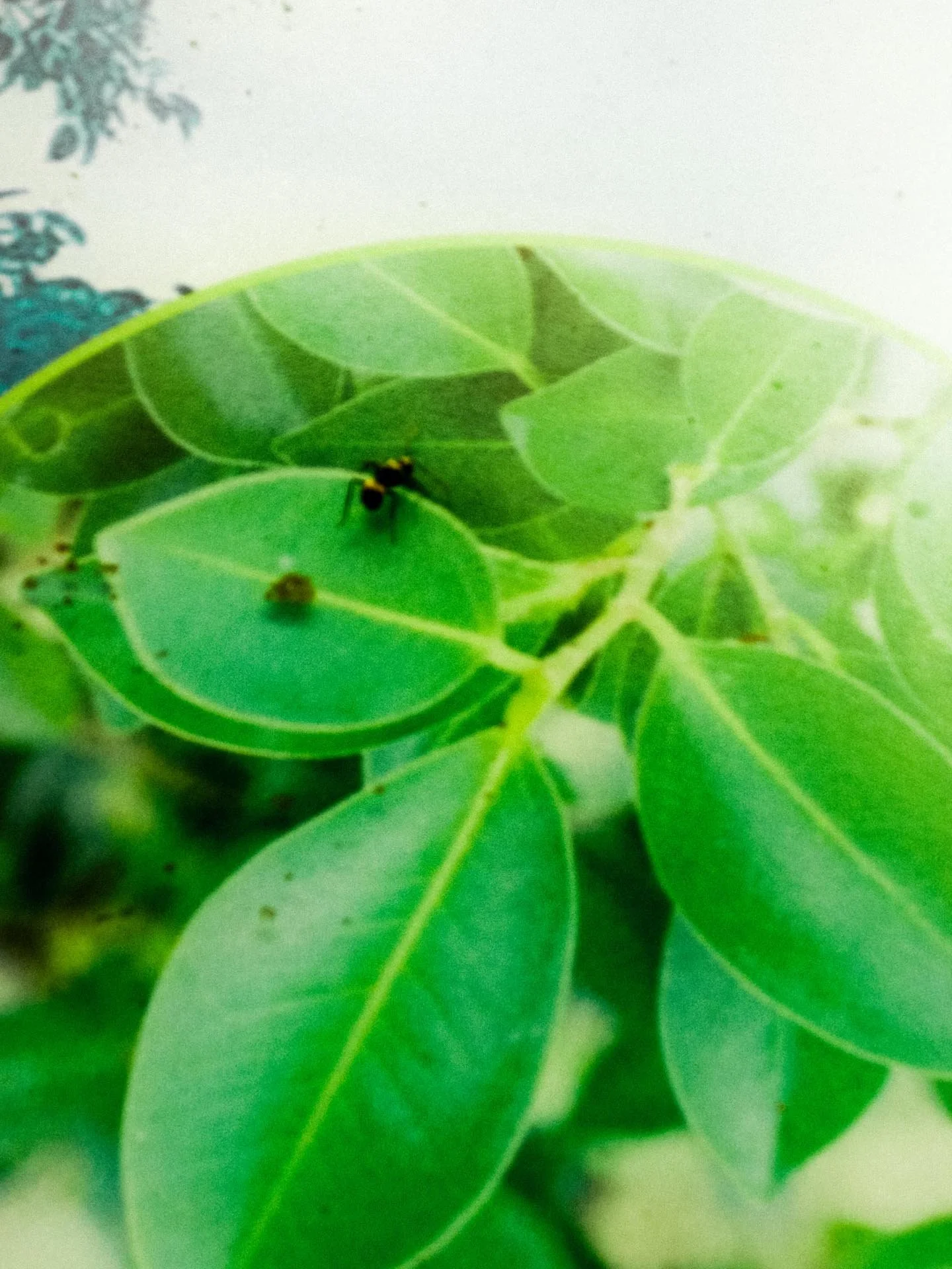 Odysseas_Chloridis_Taiwan_Huan_Dao3 (25 of 61).jpg