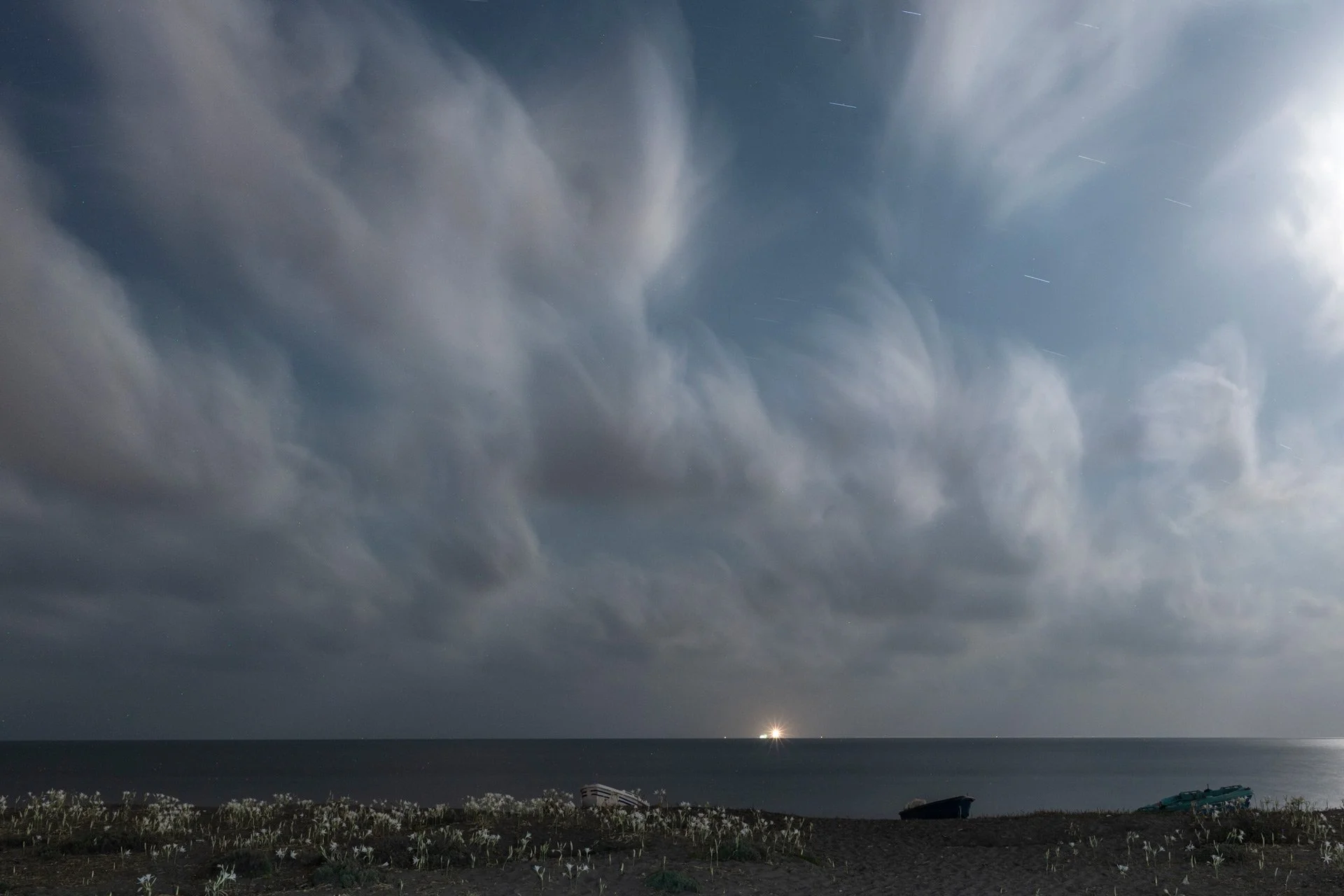 Odysseas_Chloridis_Sea_Turtles_Conservation_Photography (2).jpg
