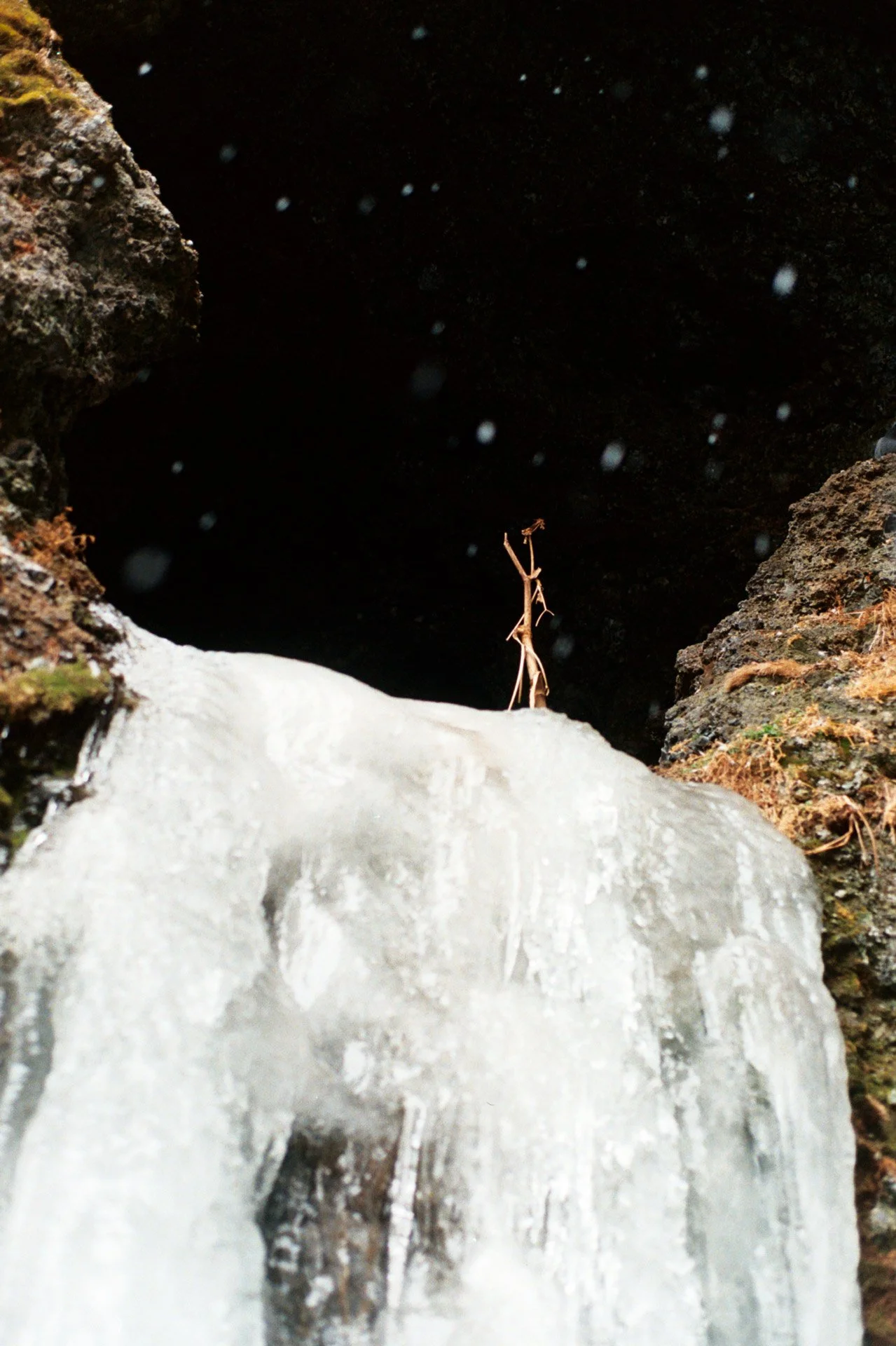 Close-up view of a frozen waterfall with a small, dry twig sticking out of the ice, and rocky sides surrounding the ice.