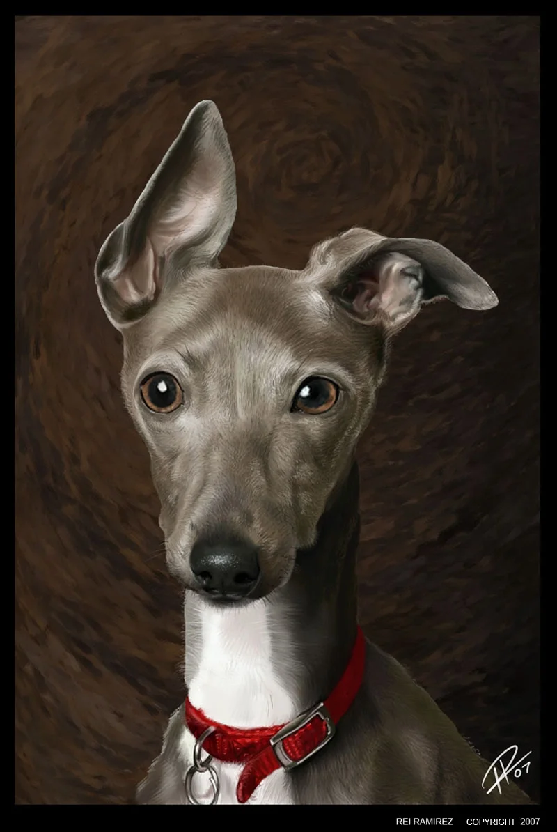 greyhound_digital.jpg