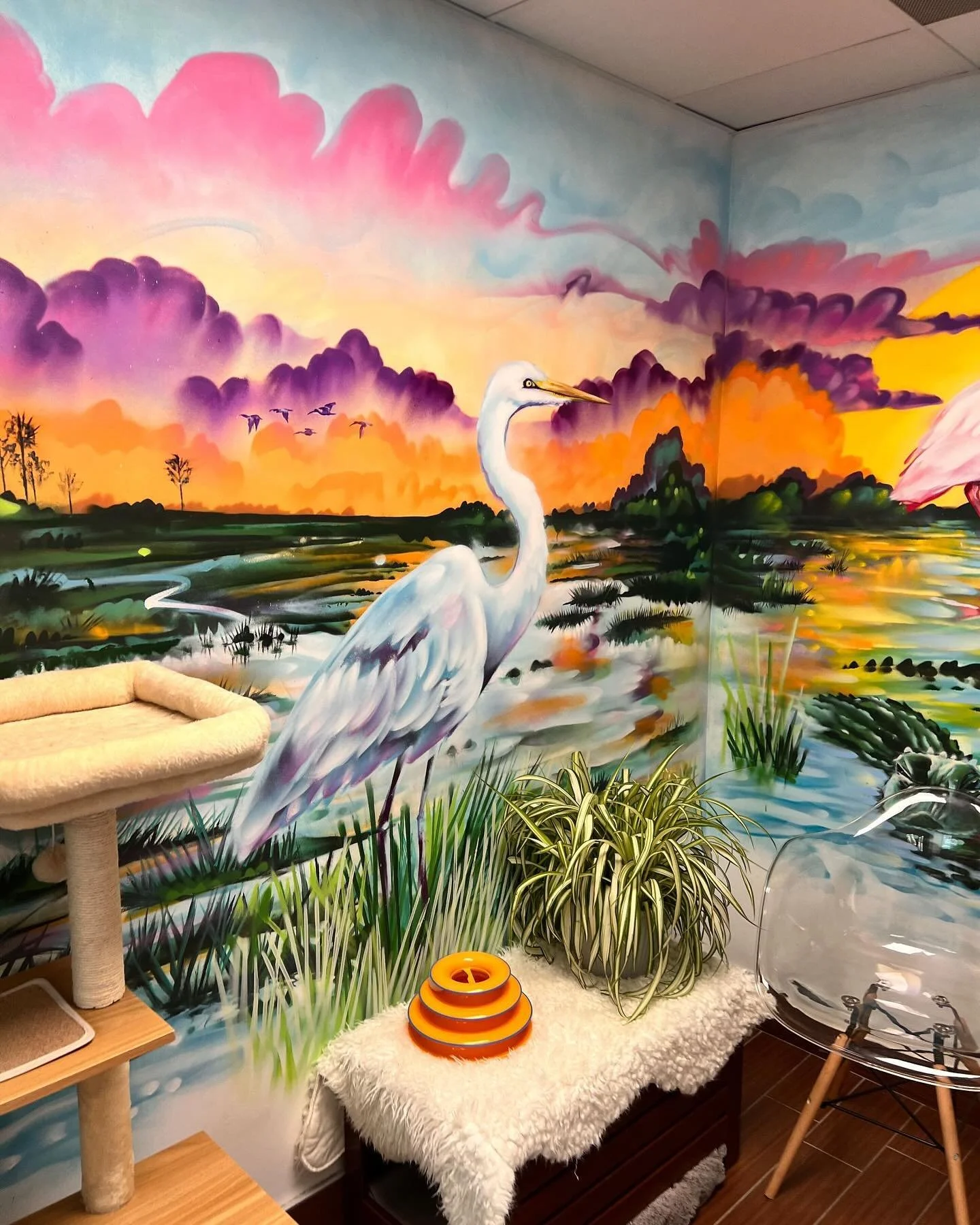 Everglades themed Mural I did a while back for the @humanebroward cat rooms. 🦩🍃🐊 #spraypaint #mural #evergladesmural #miamiart #miamiartist #humanesociety #urbanartist #wildlifeart #florida #floridaaligator #spoonbill #cats