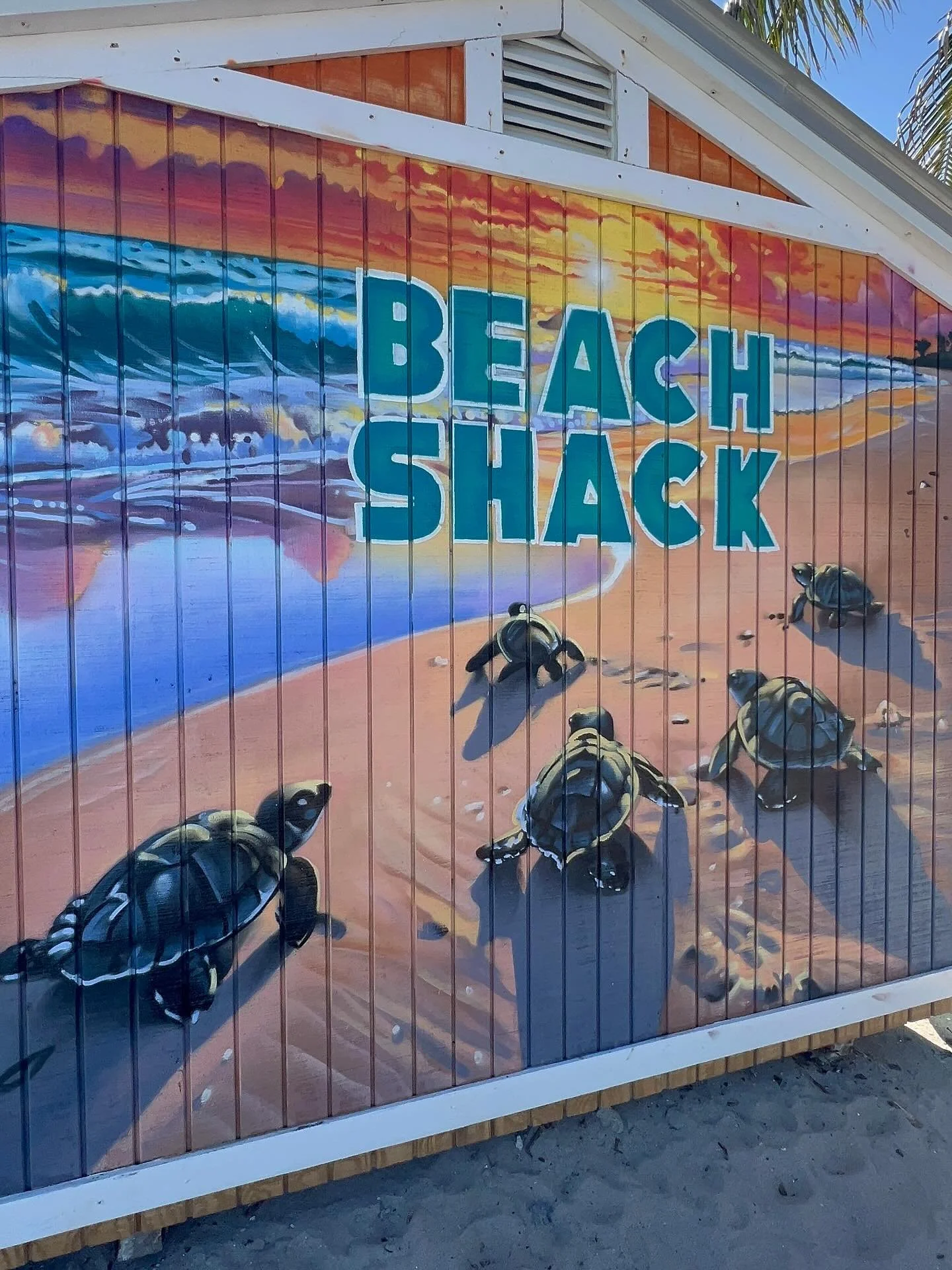 Wrapped up this seaturtle theme beach shack in Hollywood Beach last week. Thank you @underthesunbeachservices3 and @margaritaville_hollywood_beach for having me back! 🌊🐢