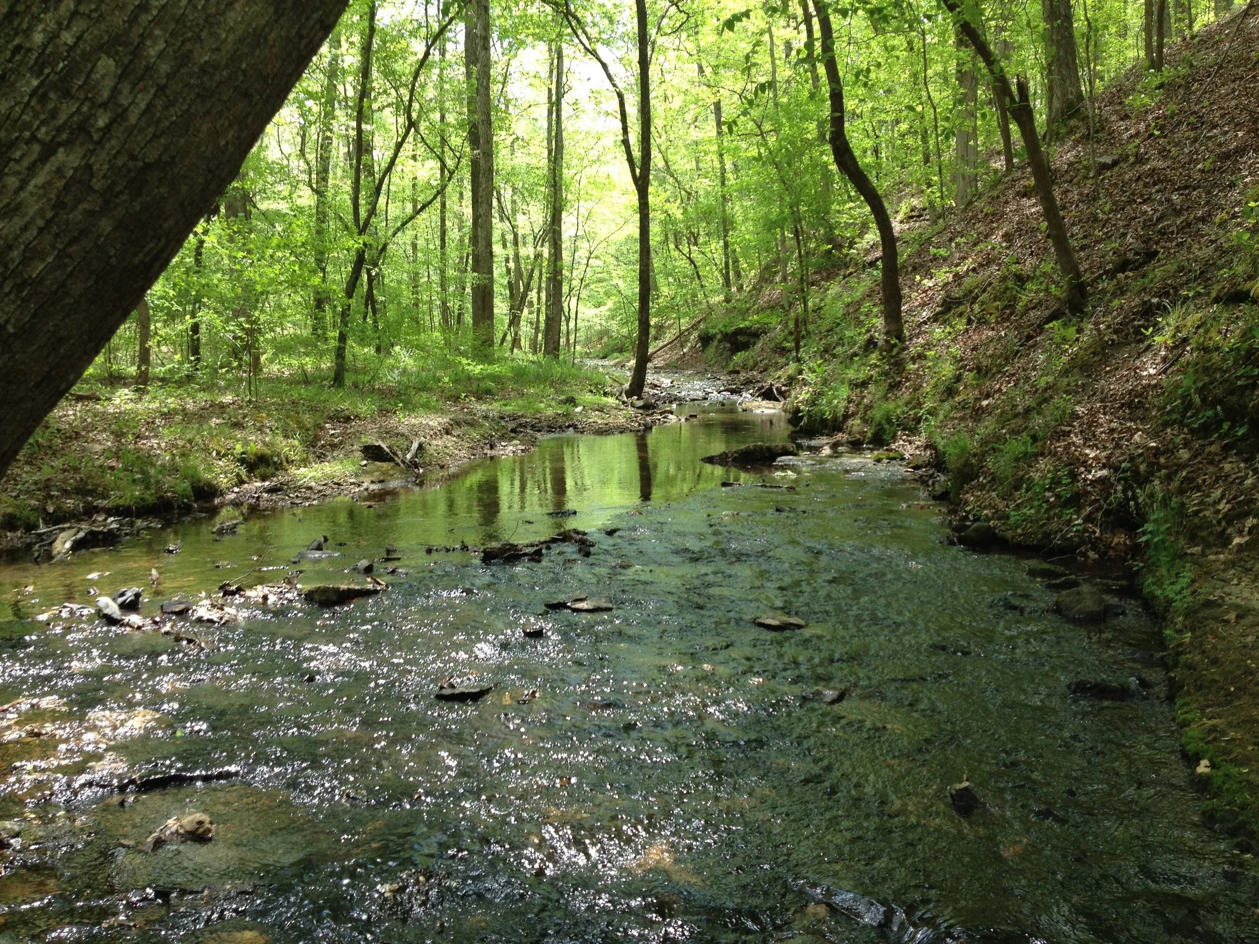 Susquehanna Sustainable Enterprises