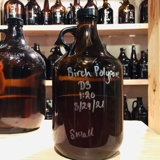 Birch Polypore Tincture — WE'VE MOVED!