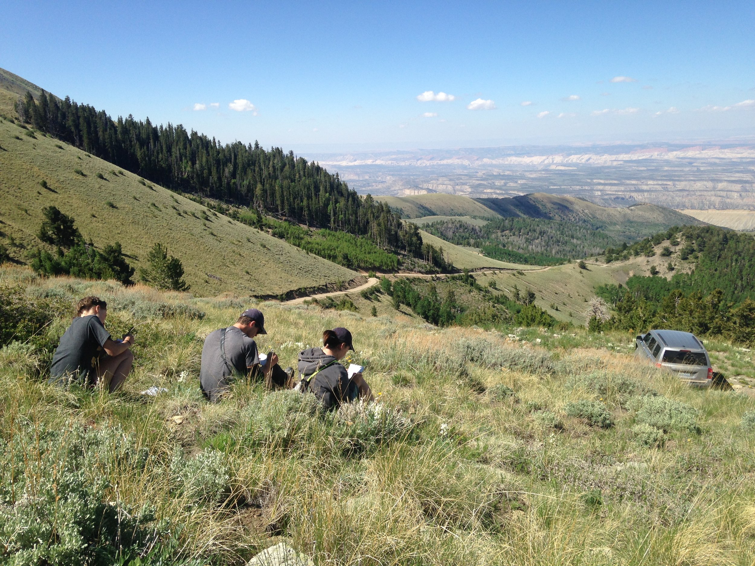 Students in summer field course, 2016