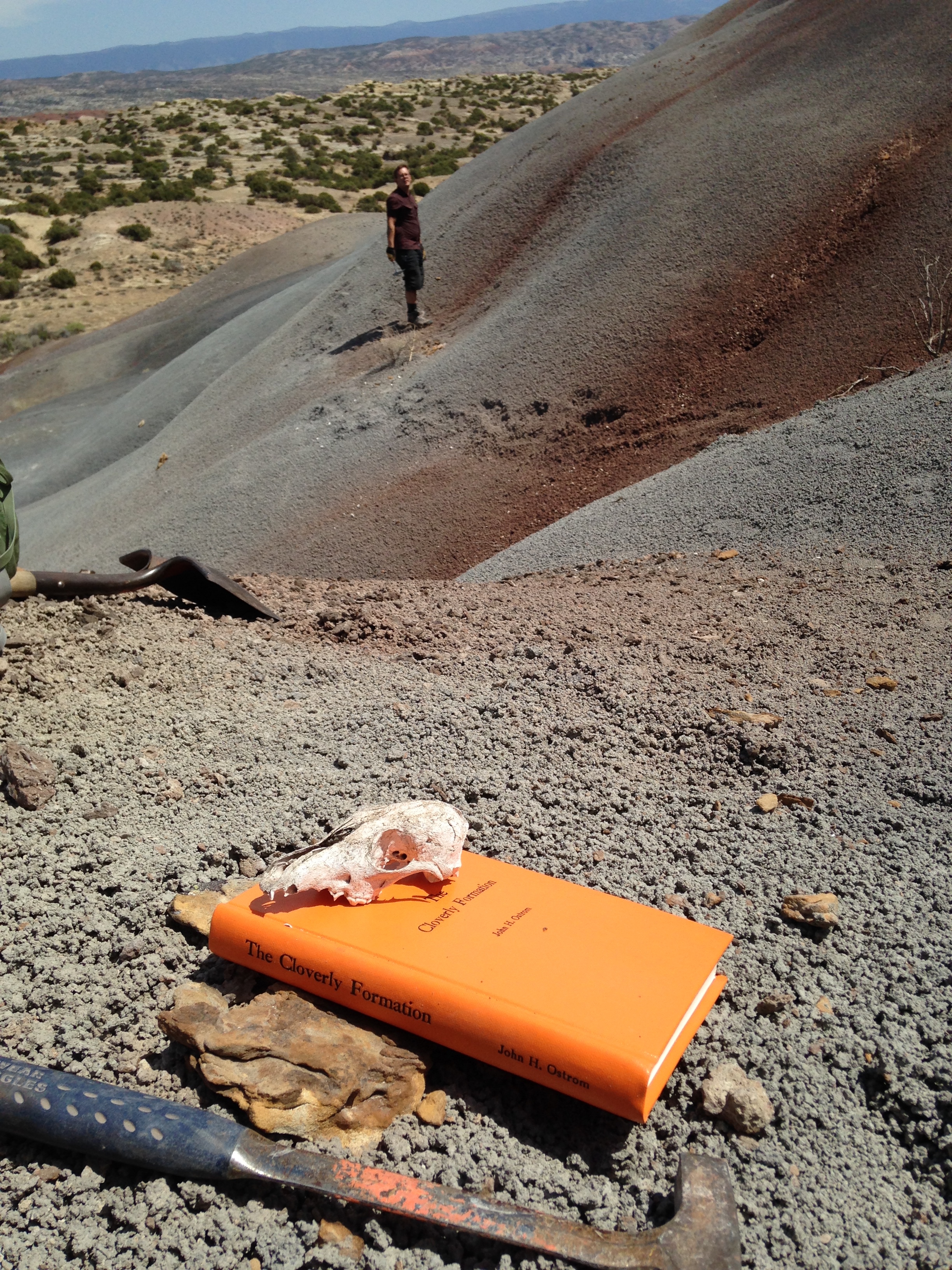 Fieldwork in Wyoming