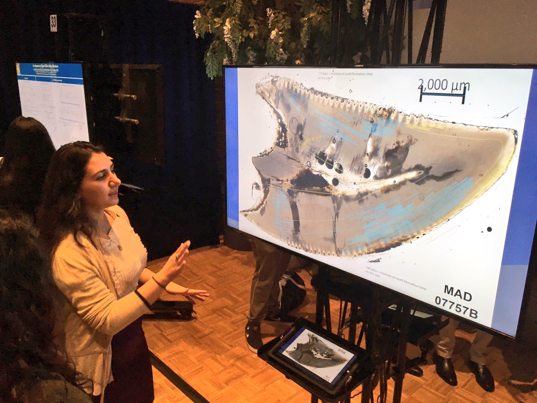 Undergraduate collaborator presenting her research at a poster session