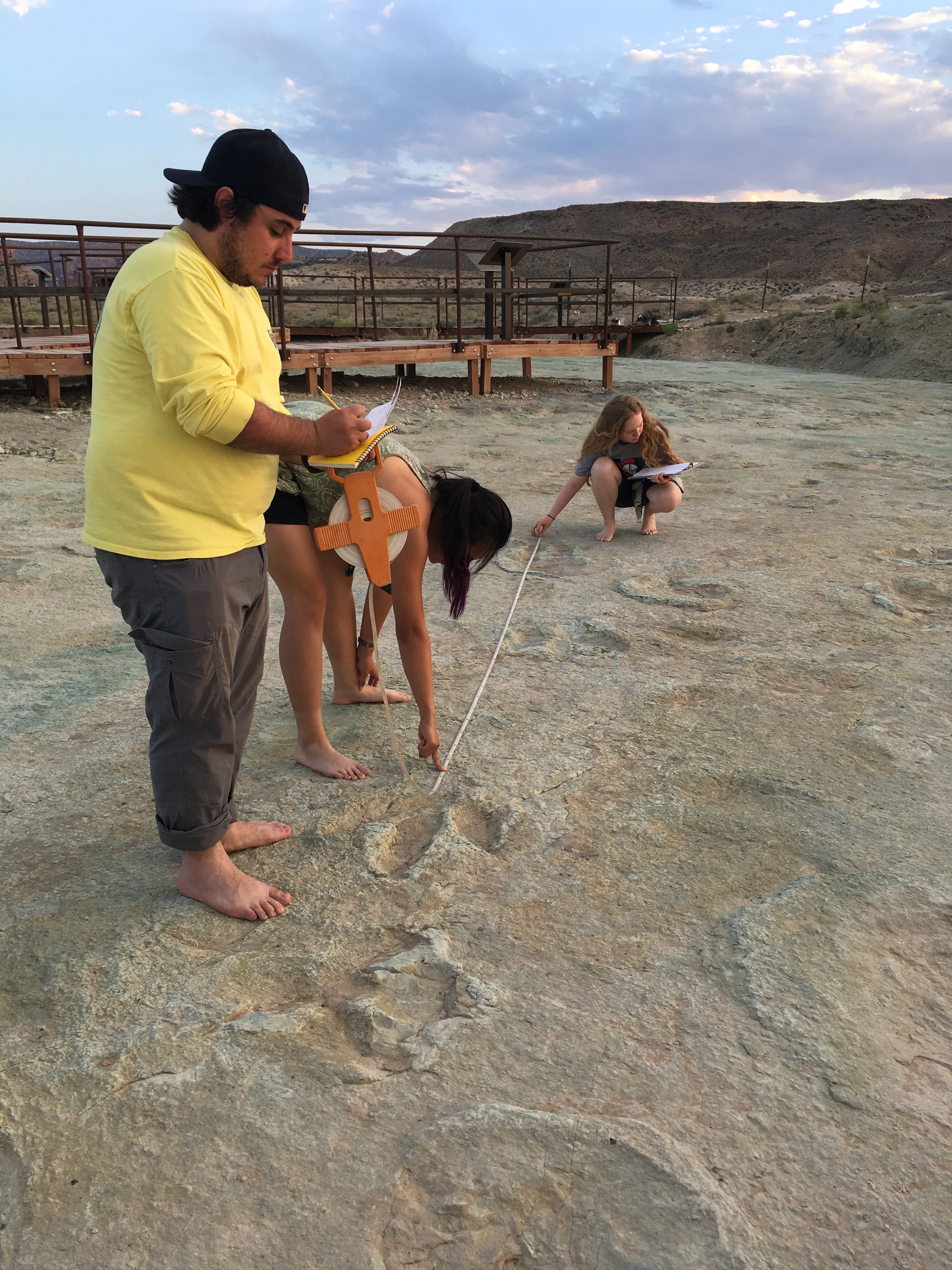 estimating dinosaur speed from footprints during summer field course