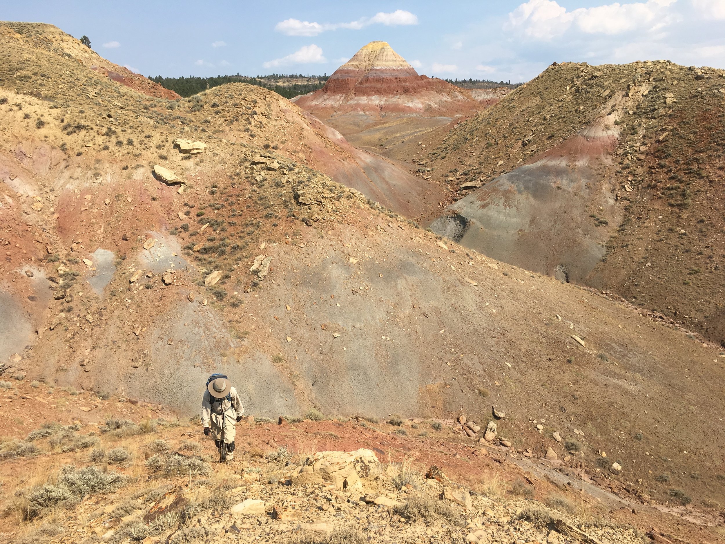 prospecting for fossils in Montana