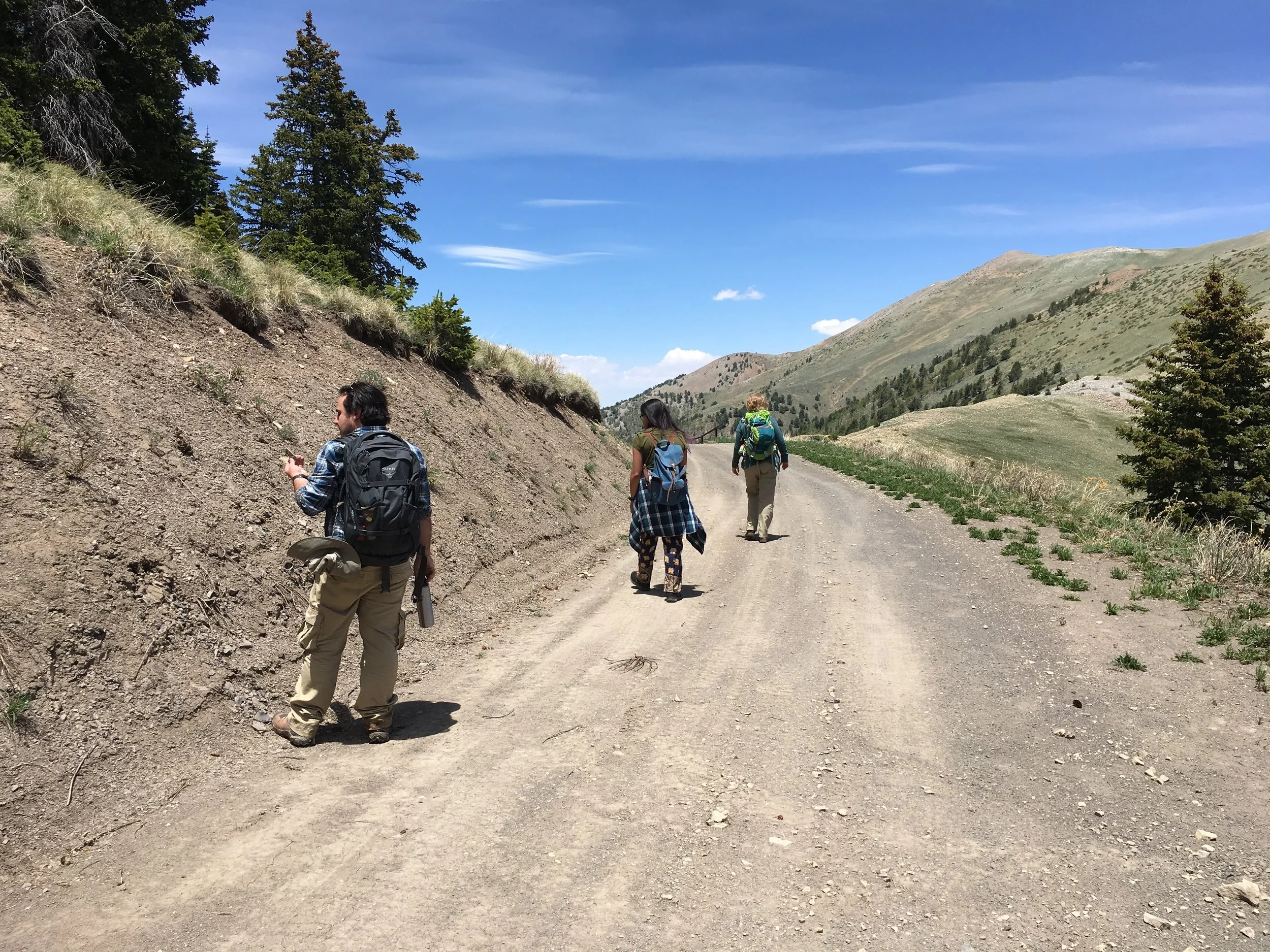 Copy of IMG_6865.JPG