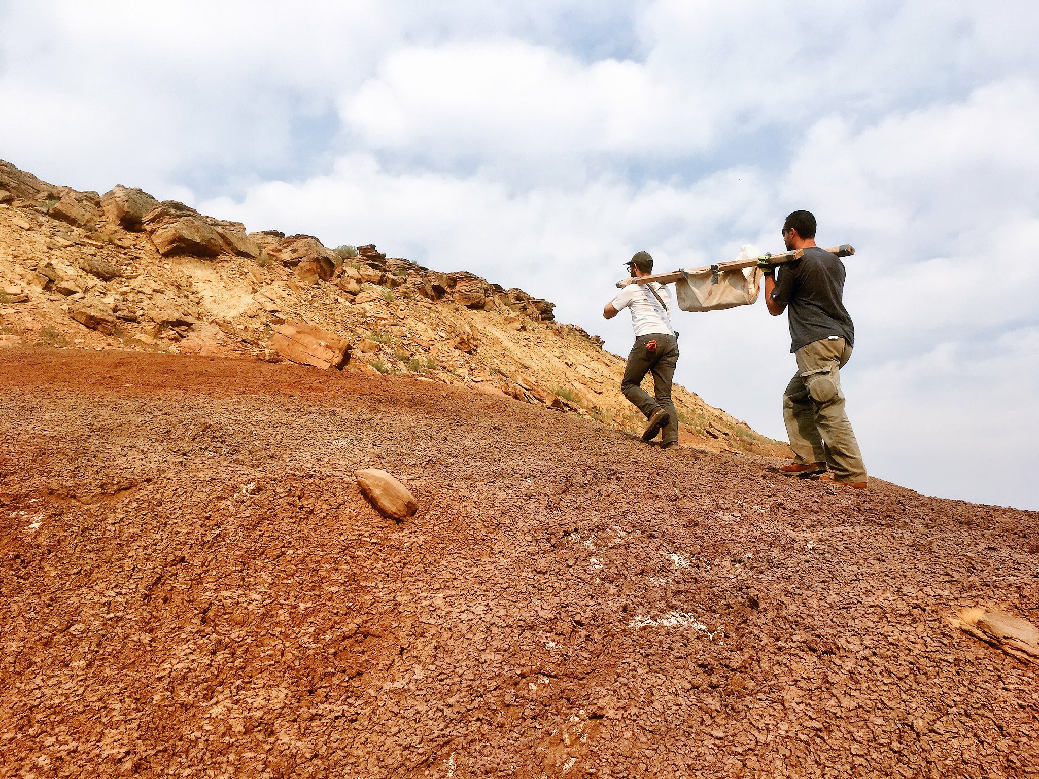 carrying a dinosaur out of the field