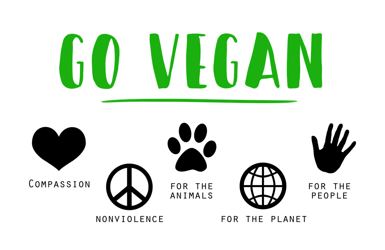 Vegan News for June 2019