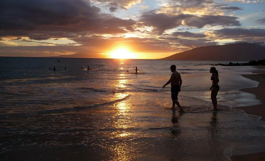 Vegan News for October 2021