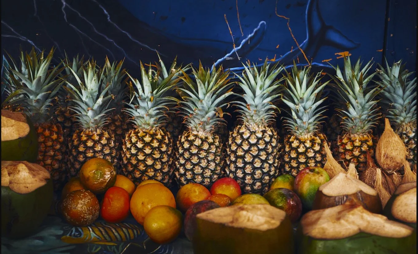 Vegan News for January 2023