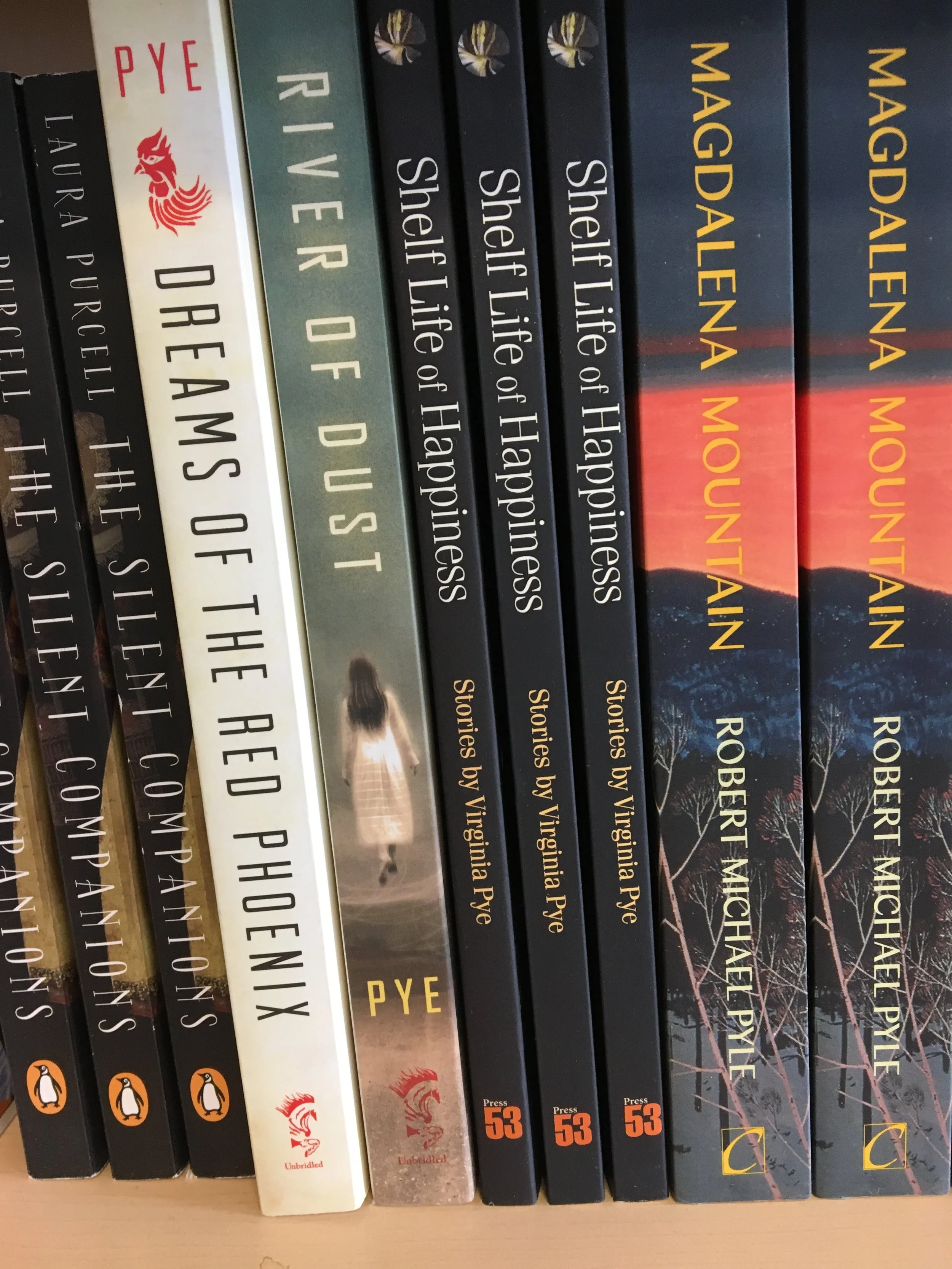 Happiness Through Fiction: A Shout Out to the Imagination