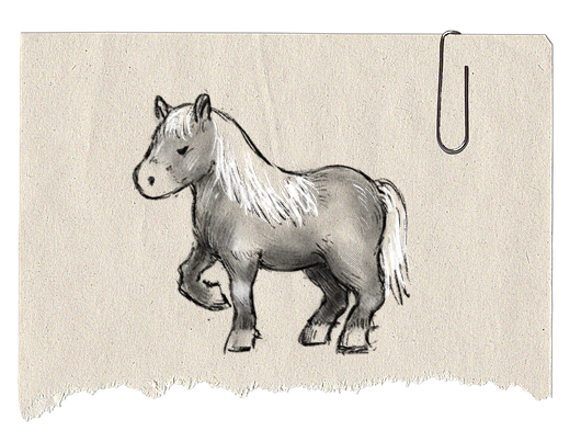 pony_sprite.png