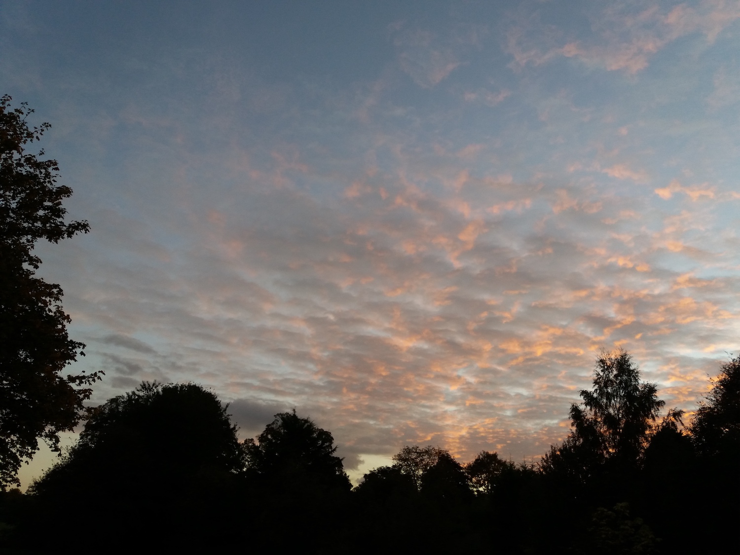 Evening Sky.jpg