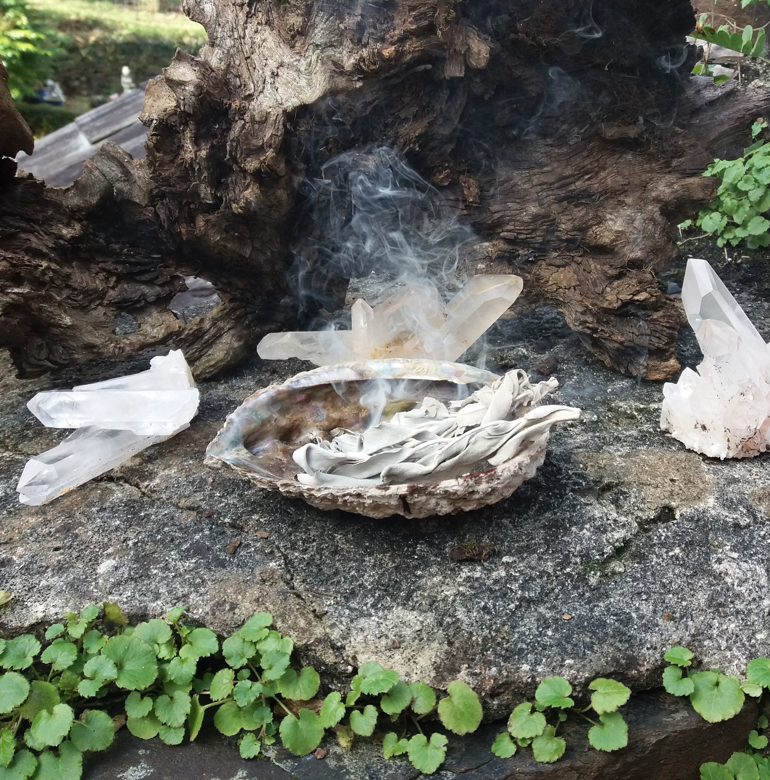 Blog 2-2019 Feb-White sage burning.jpg