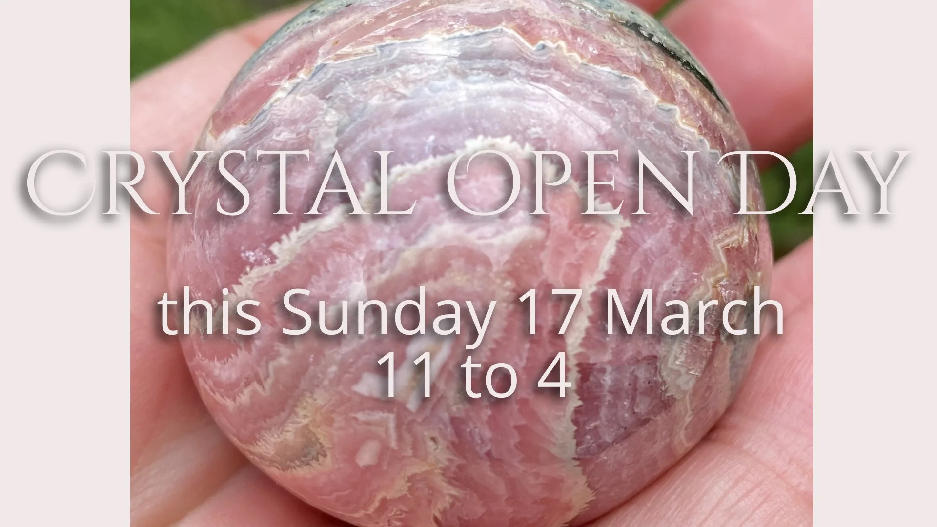 sue's crystal barn open day  