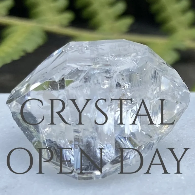 Crystal Open Day