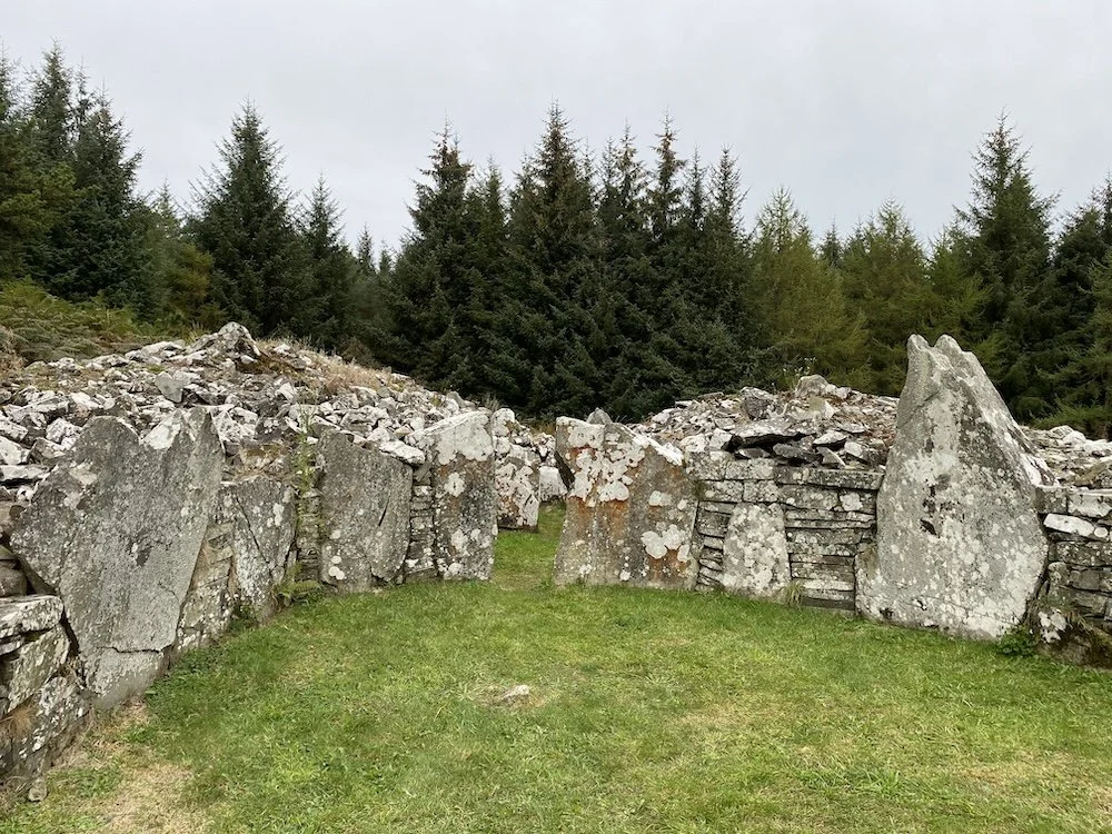 2024 10 Oct Ireland 51 copy.JPG