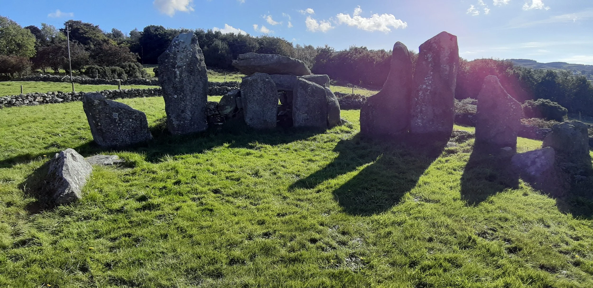 20250925_152929.jpg