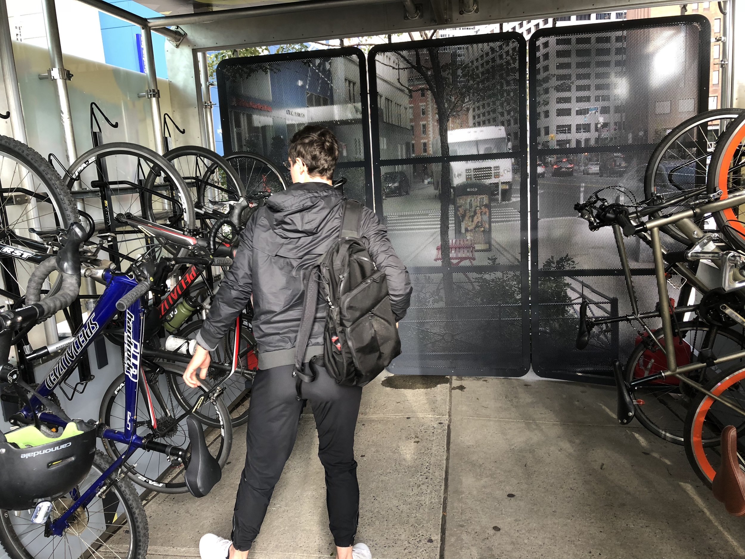Bikes in pod.jpg