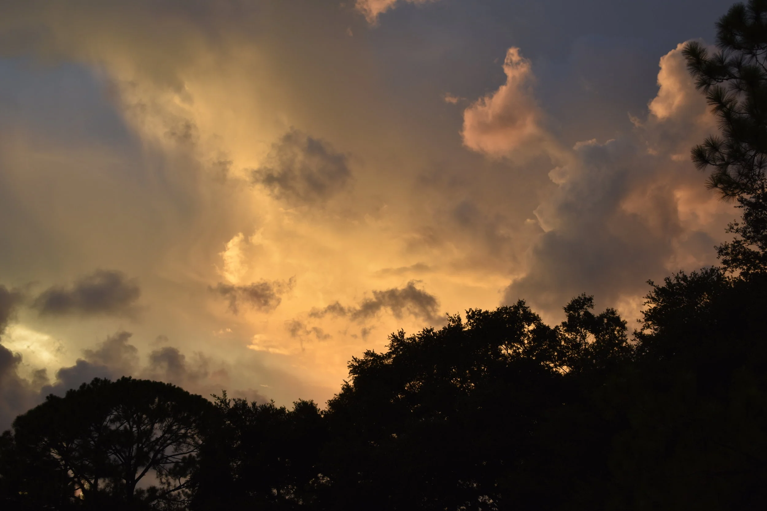 DSC_0742.JPG