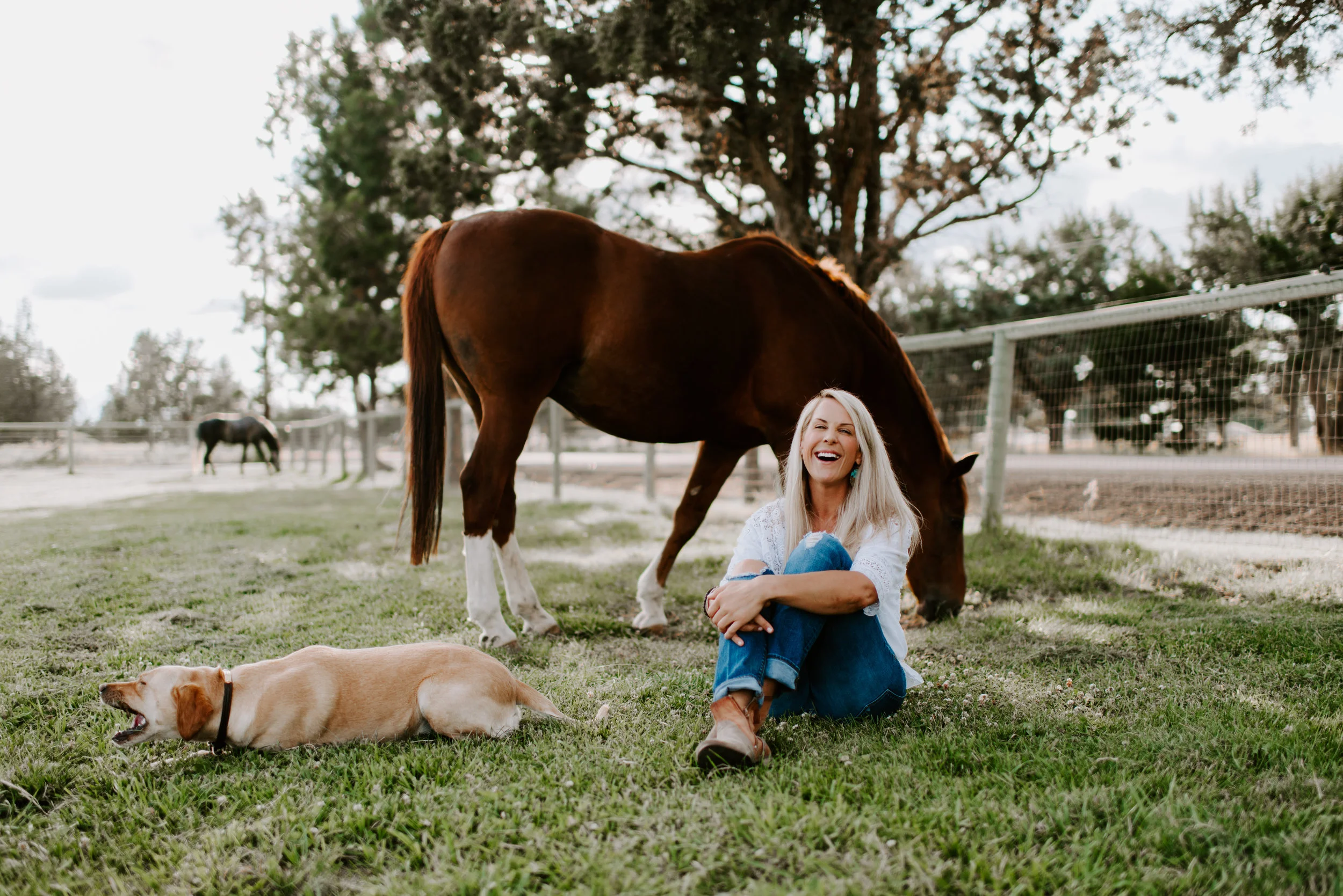 Cat_farmsession-31.jpg