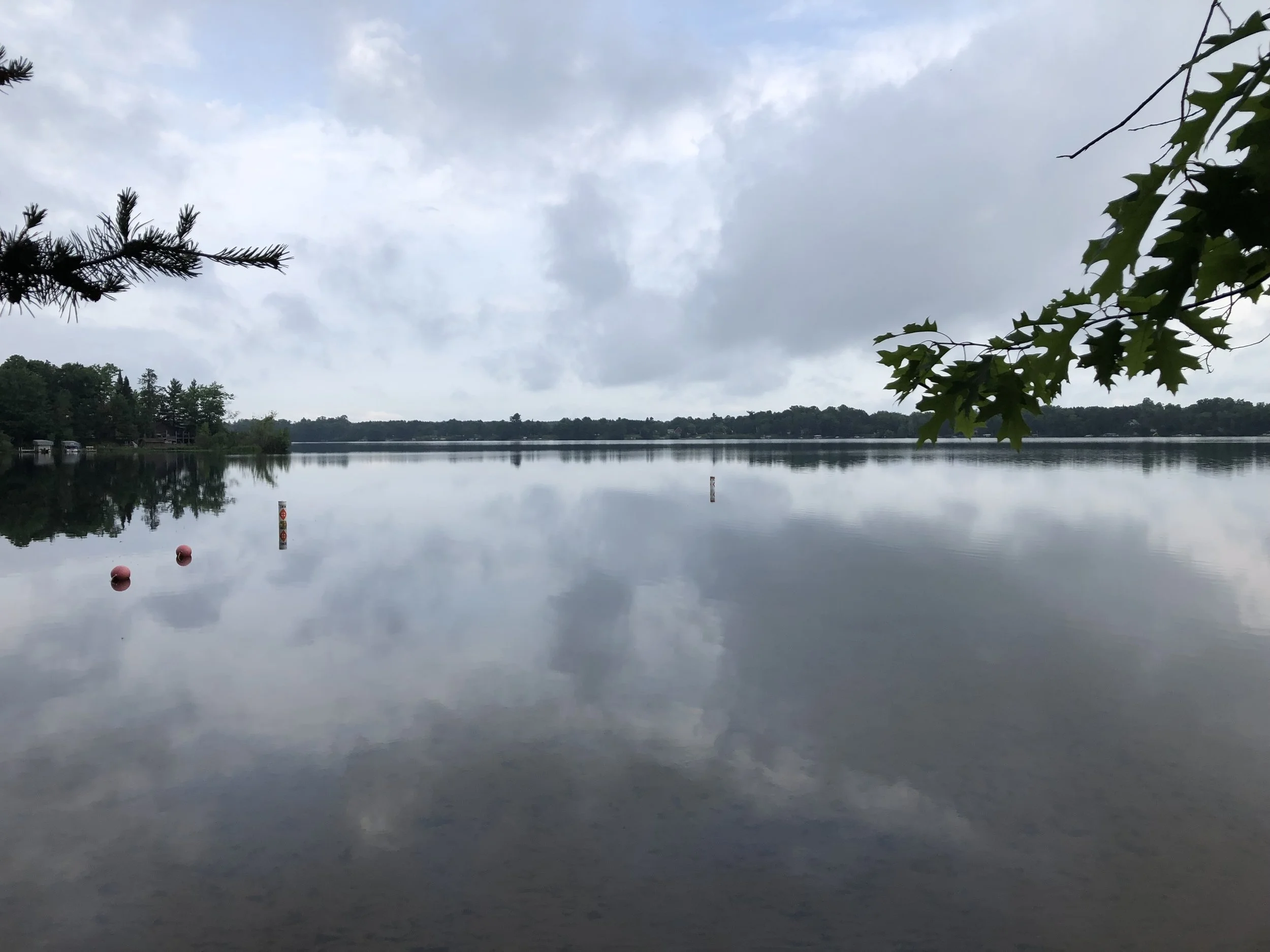 IMG_1976.jpeg