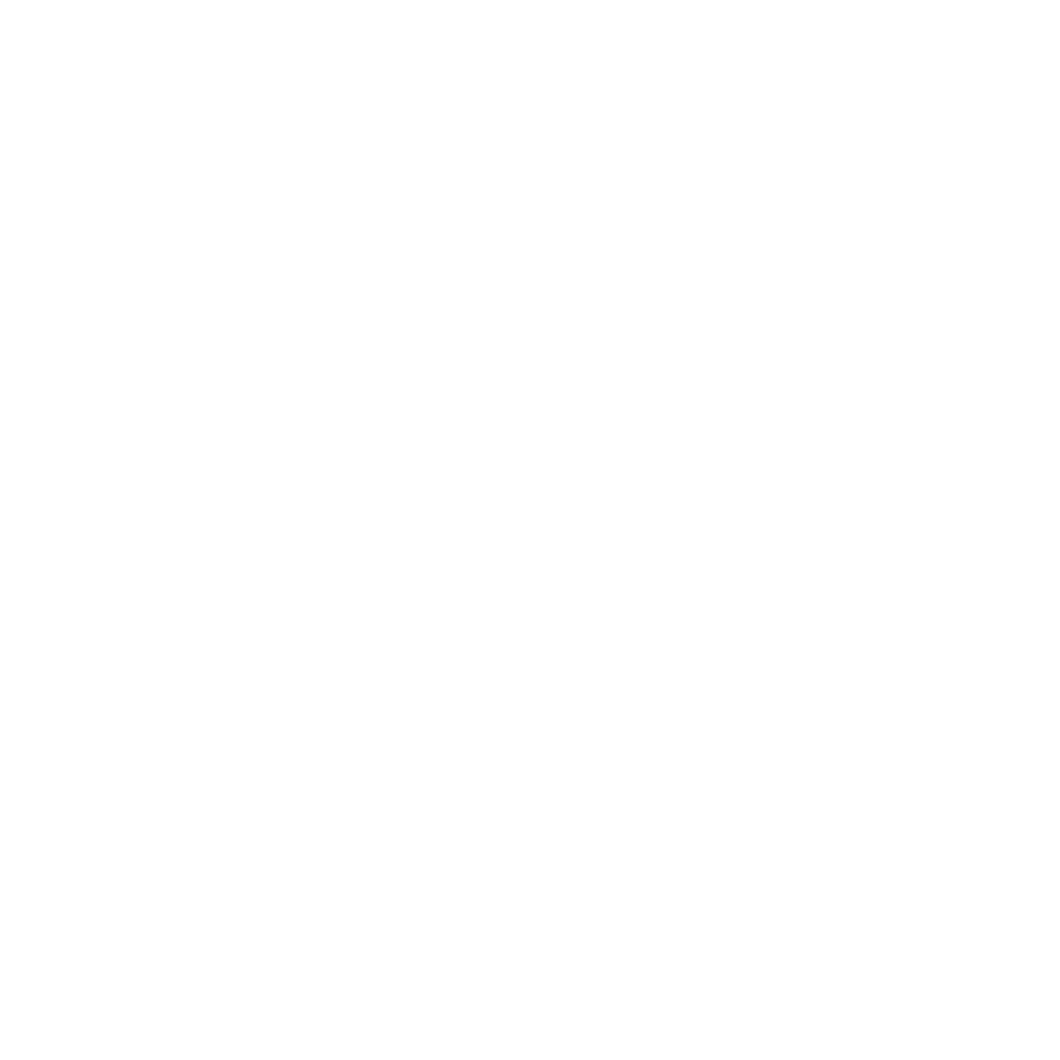 Phở 501