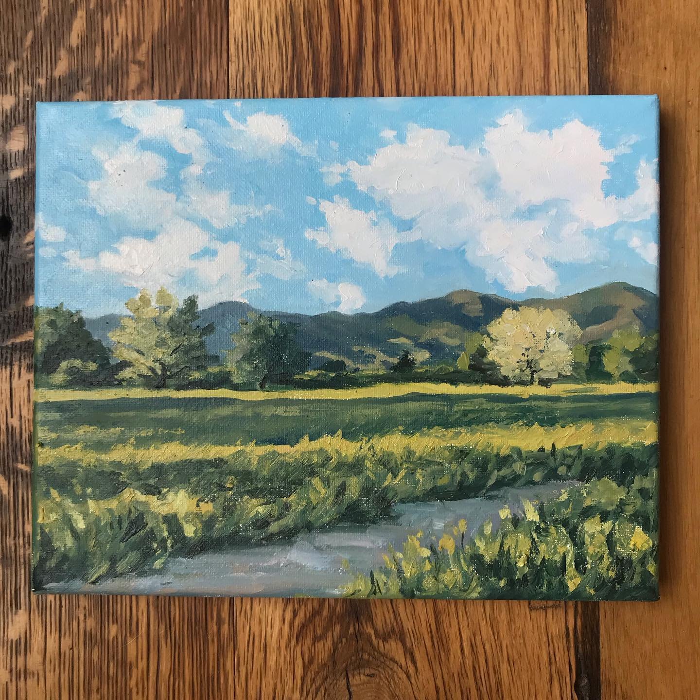 &ldquo;Gallatin Golden Hour&rdquo;

Long summer days are even longer when the sun is still shining at 9pm in Montana. 

8&rdquo;x10&rdquo; oil on canvas
.
.
.
.
#gallatinvalley #bozemanmontana #bozeman #montanapainting #montanaart #oilpainting #lands