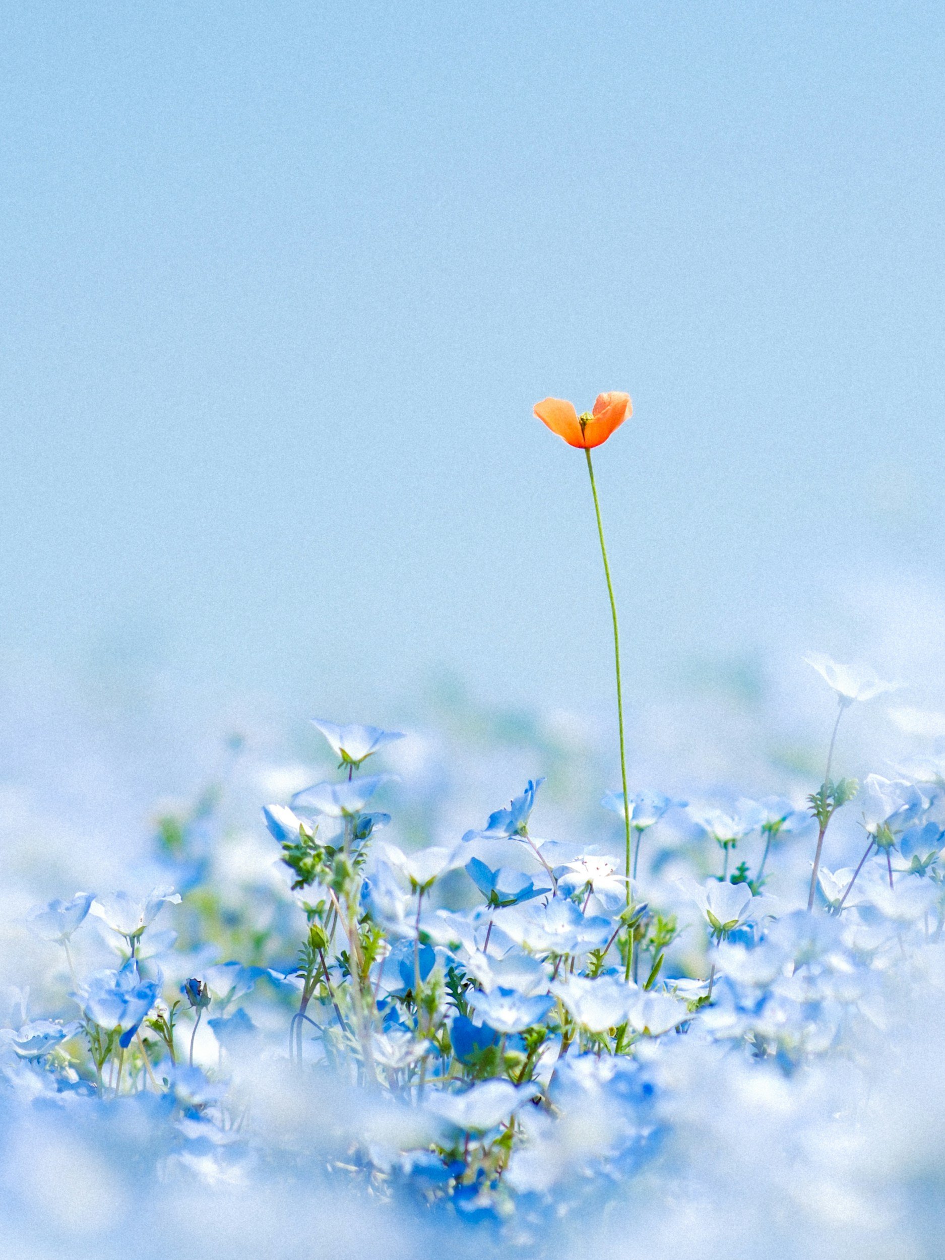You're Not "Too Much": Understanding Emotional Needs in Midlife Relationships