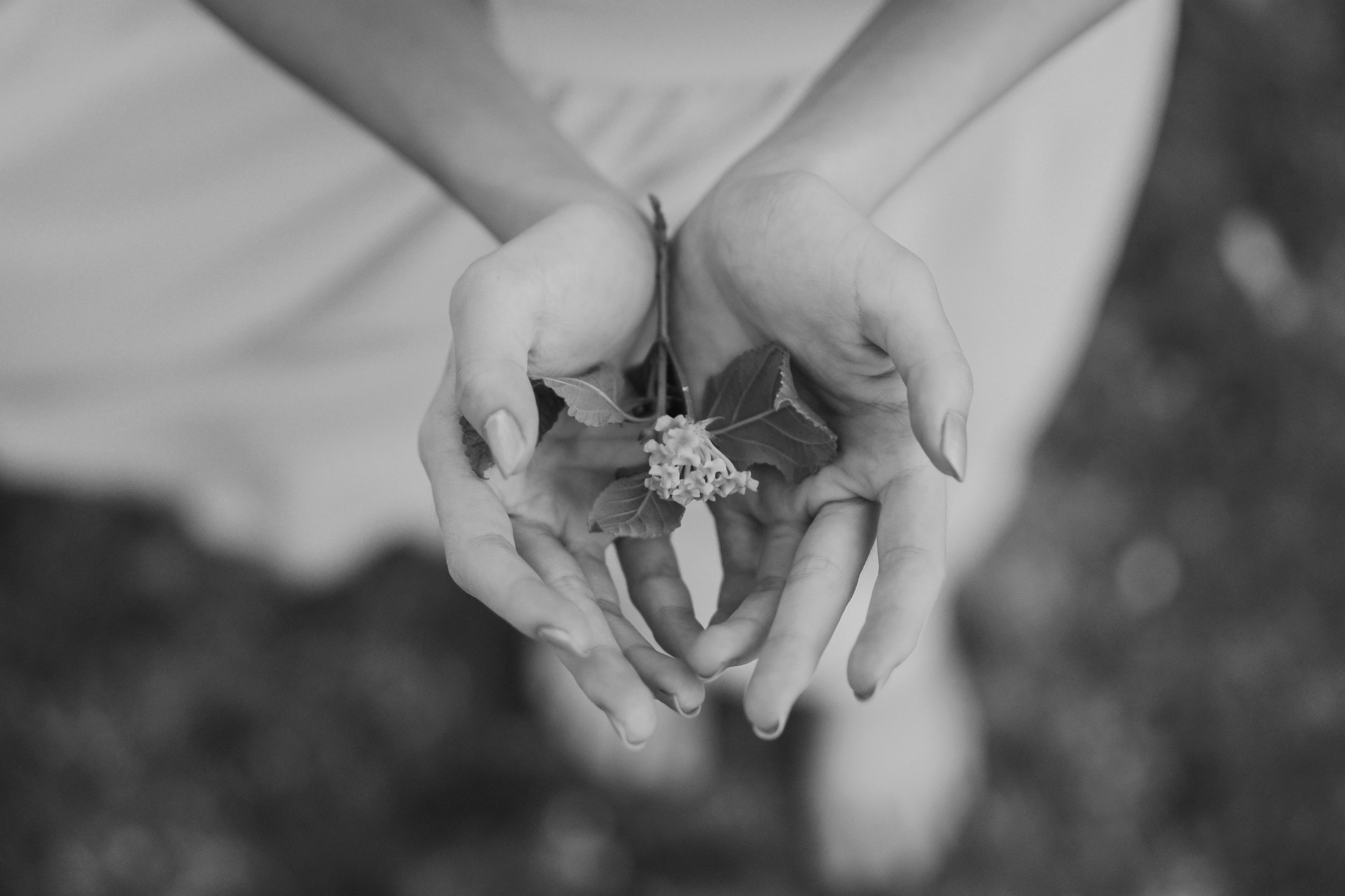bobbo-sintes-500650-unsplash (1).jpg