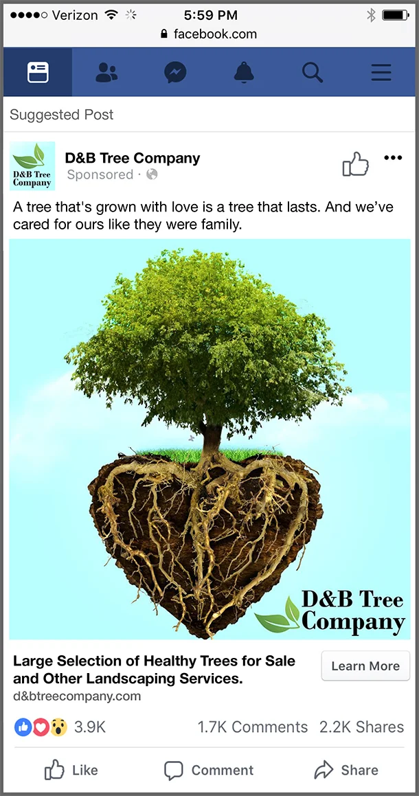 D&B Post-WIP-LR-1.jpg