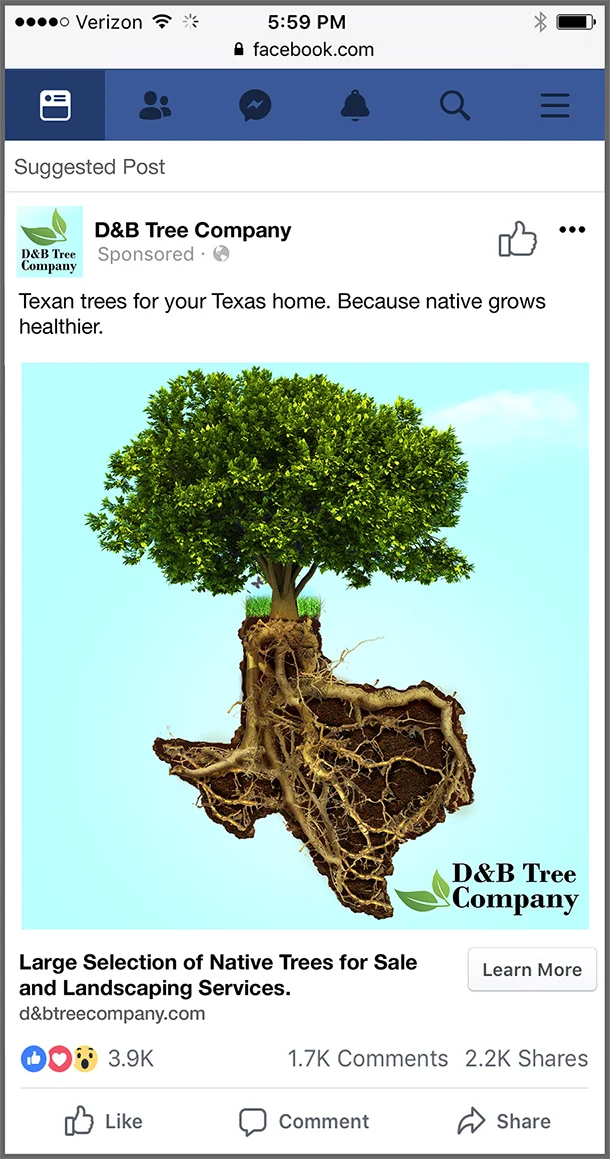 D&B Post-WIP-LR-3.jpg